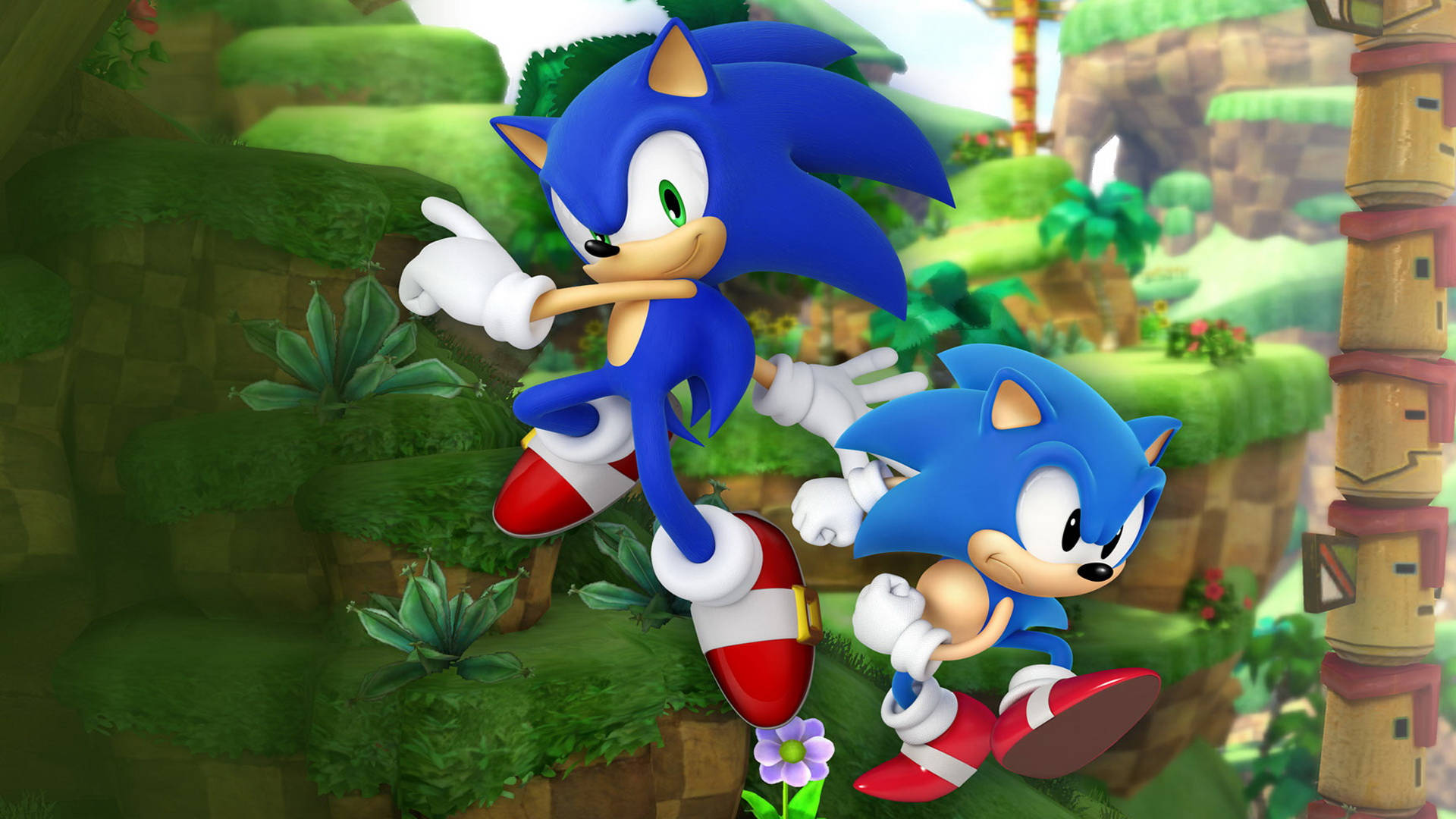 sonic the hedgehog și sonic the hedgehog aleargă în iarbă Fundal