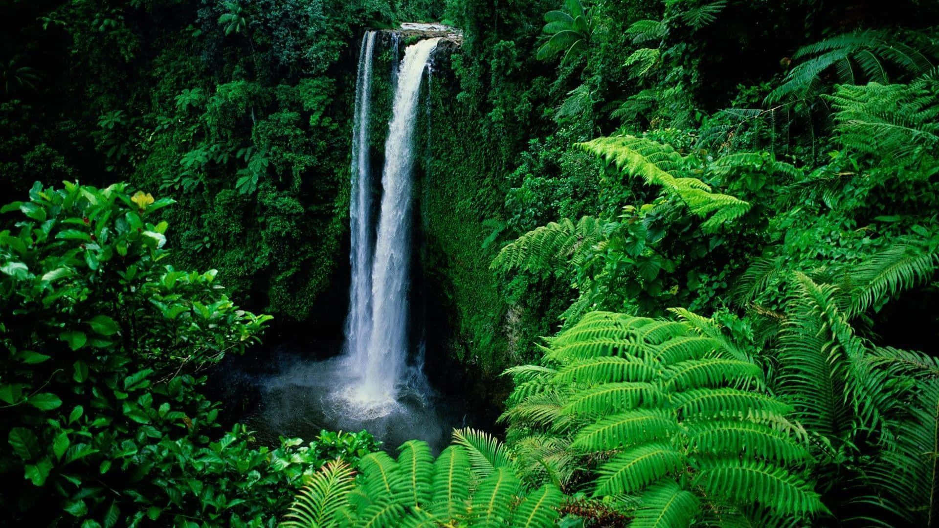 Sopoaga Waterfall Verde Desktop Fundal