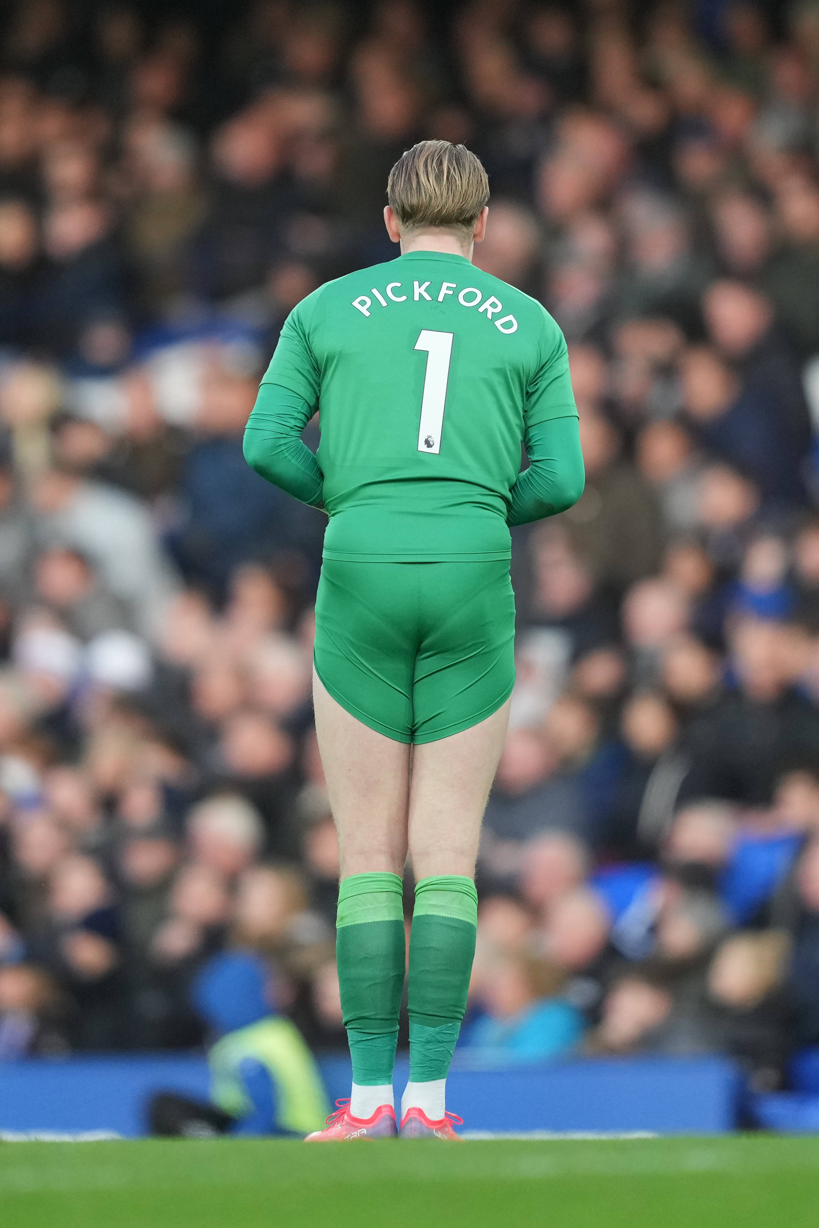 Spatele lui Jordan Pickford în verde Fundal