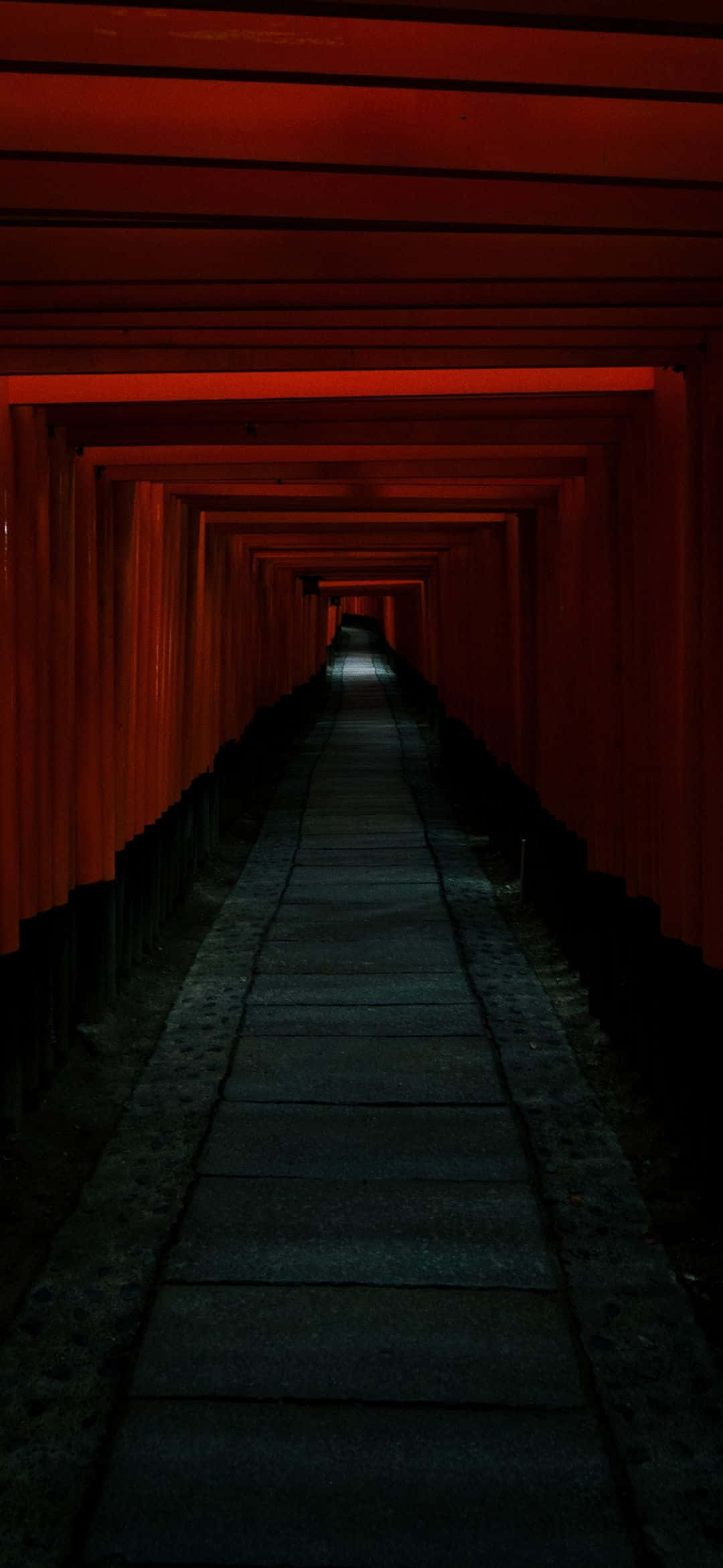 Spectaculos orizont nocturn în Tokyo, Japonia Fundal