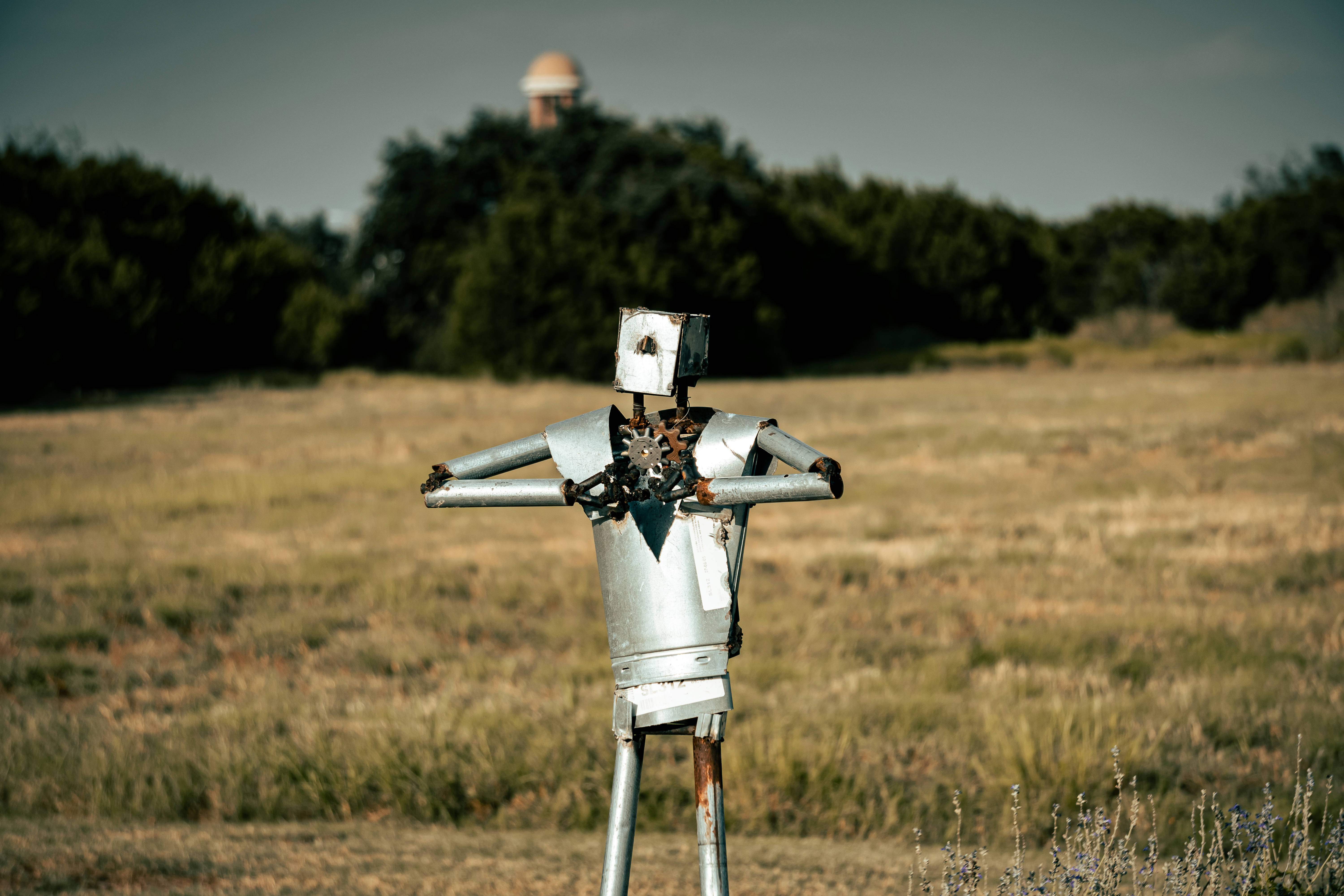 Sperietoare Rustică Iron Man în Câmp Fundal