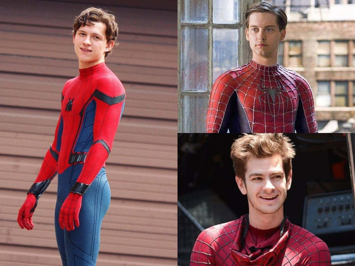 Spiderman în Acțiune Fundal