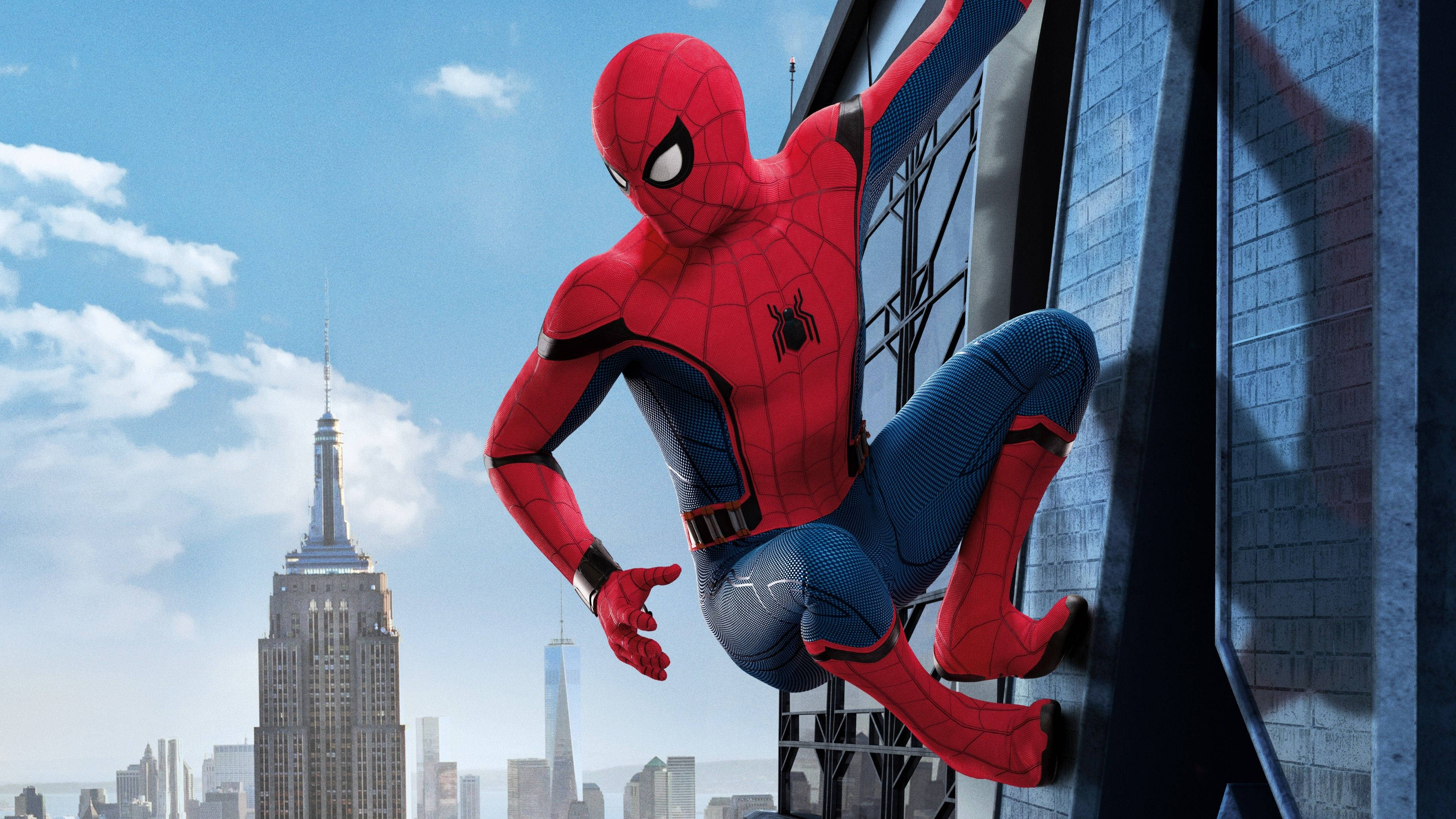 Spiderman în patrulare Fundal