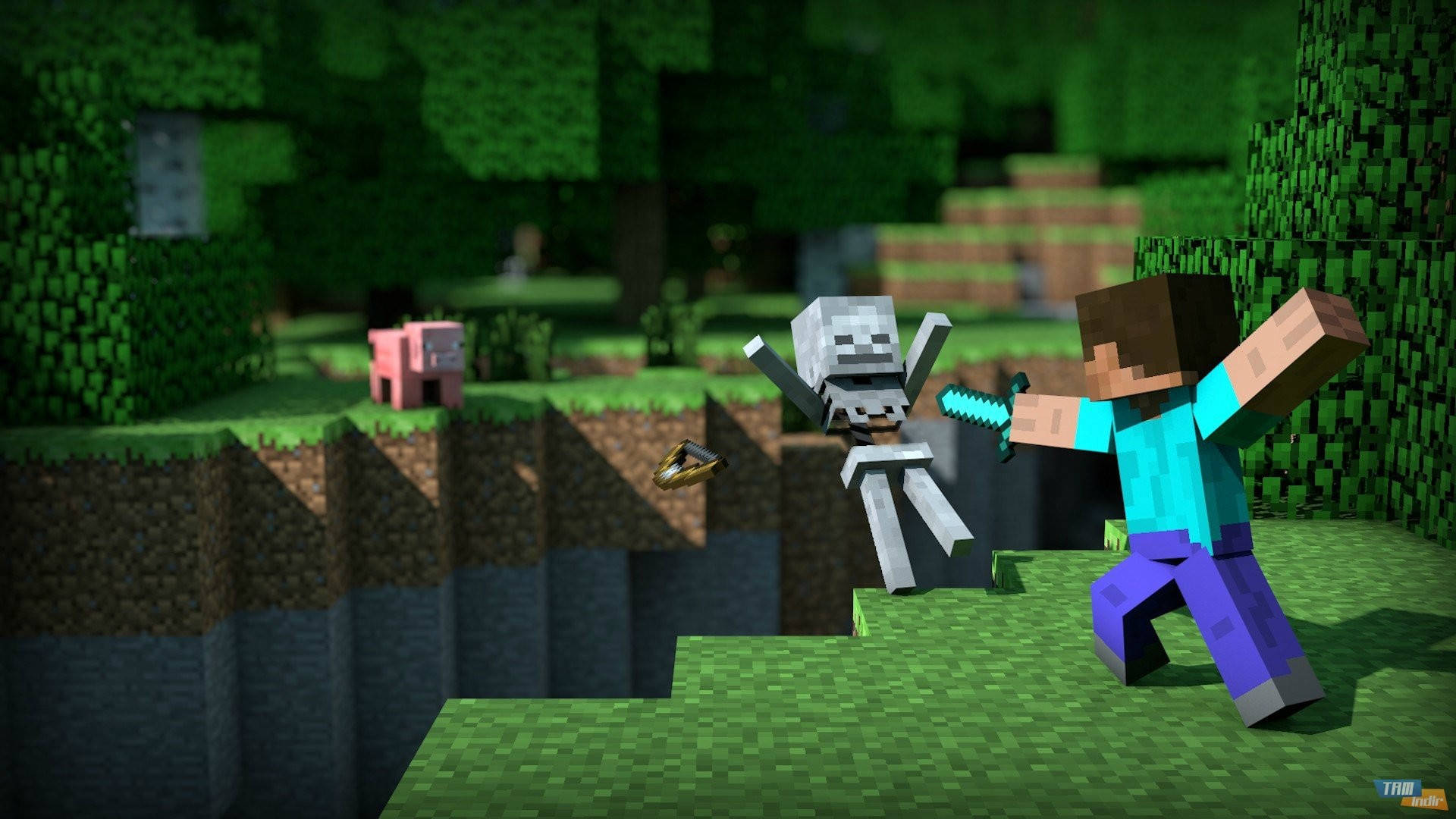 Steve luptându-se cu un schelet Minecraft HD Fundal