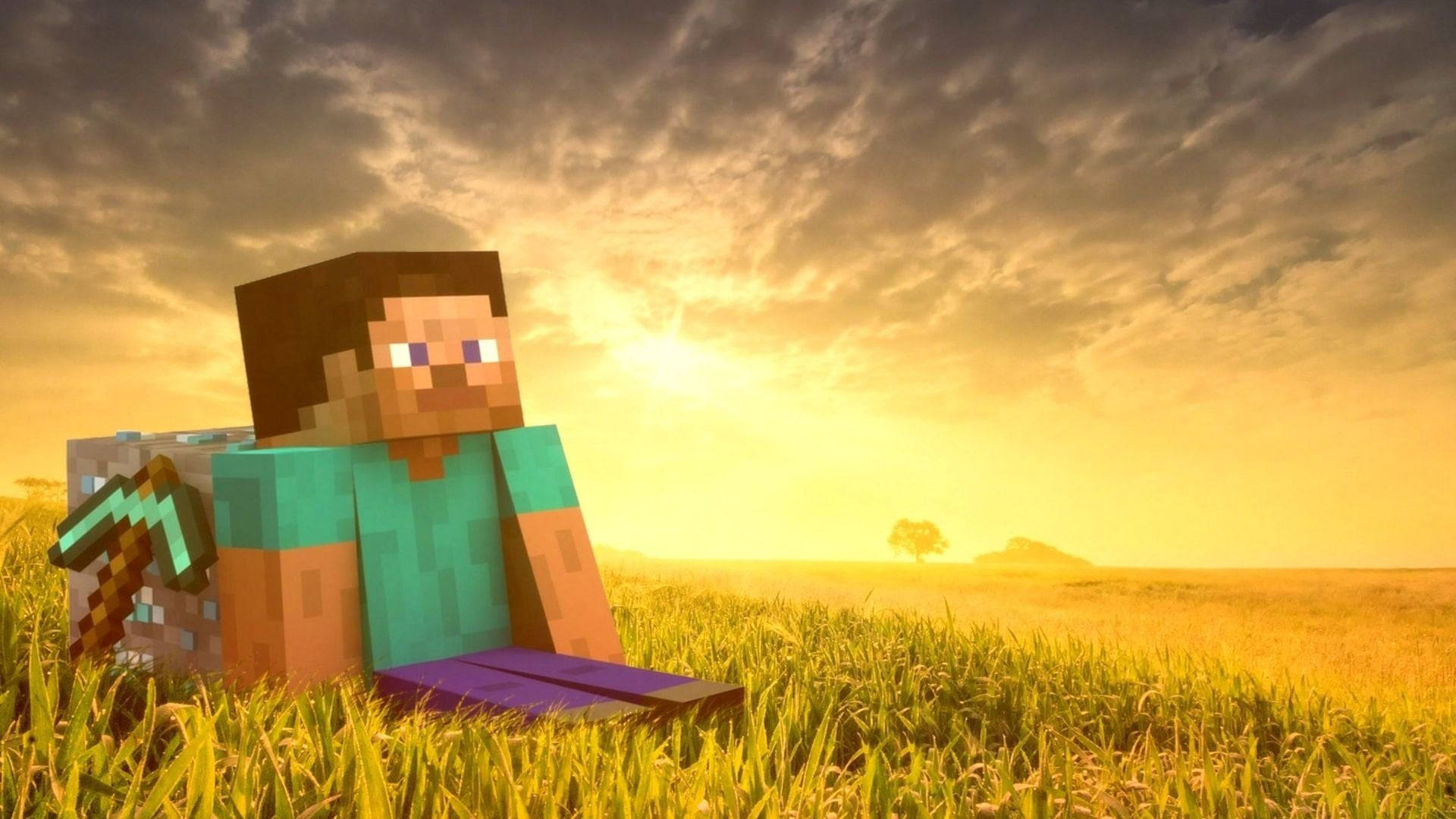 Steve privind apusul într-un peisaj Minecraft Fundal