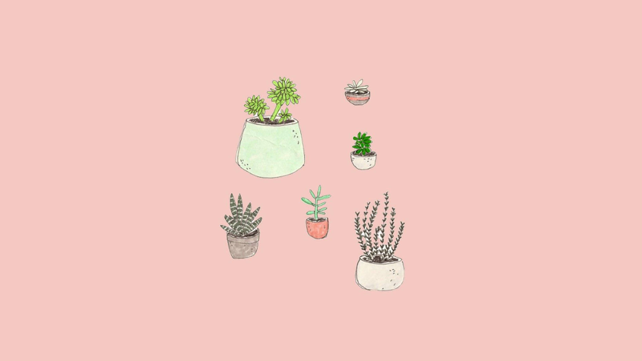 Succulente de birou estetice Fundal