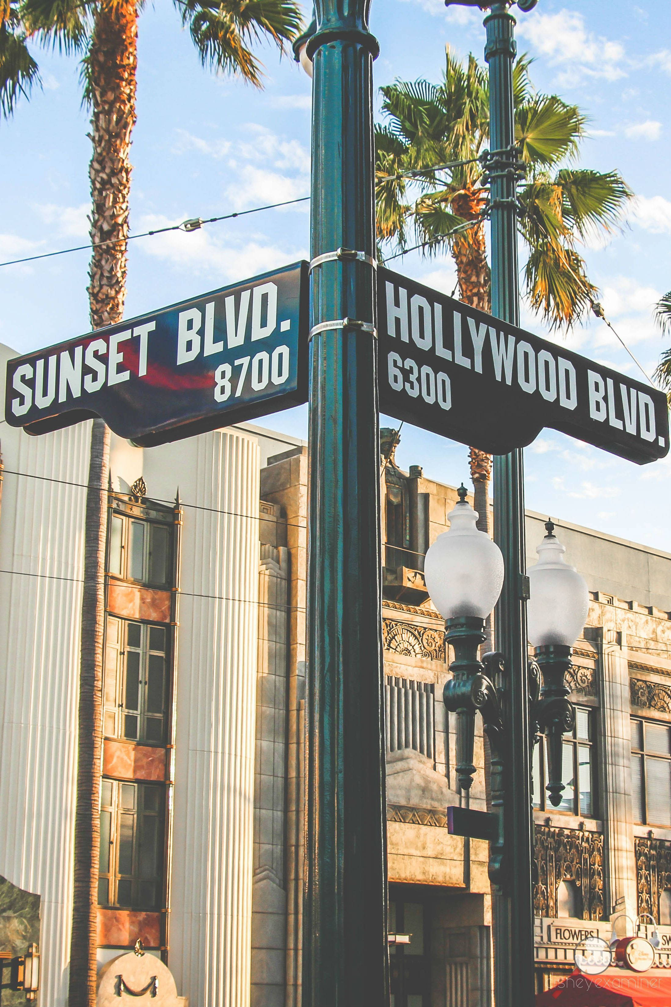 Sunset Boulevard și Hollywood Boulevard Fundal