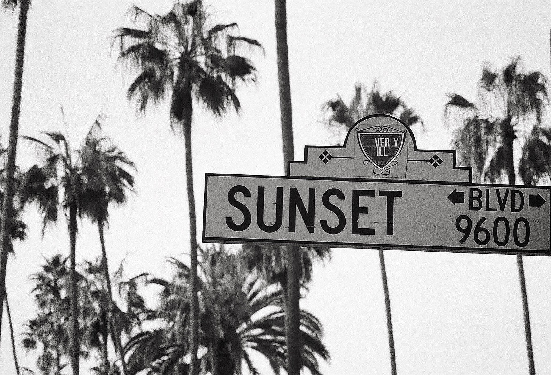 Sunset Boulevard Alb-Negru Fundal