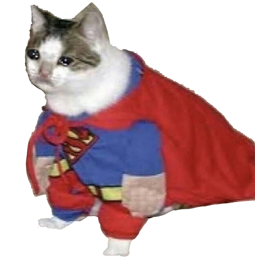 Super Pisica_Eroina_Meme.PNG Fundal