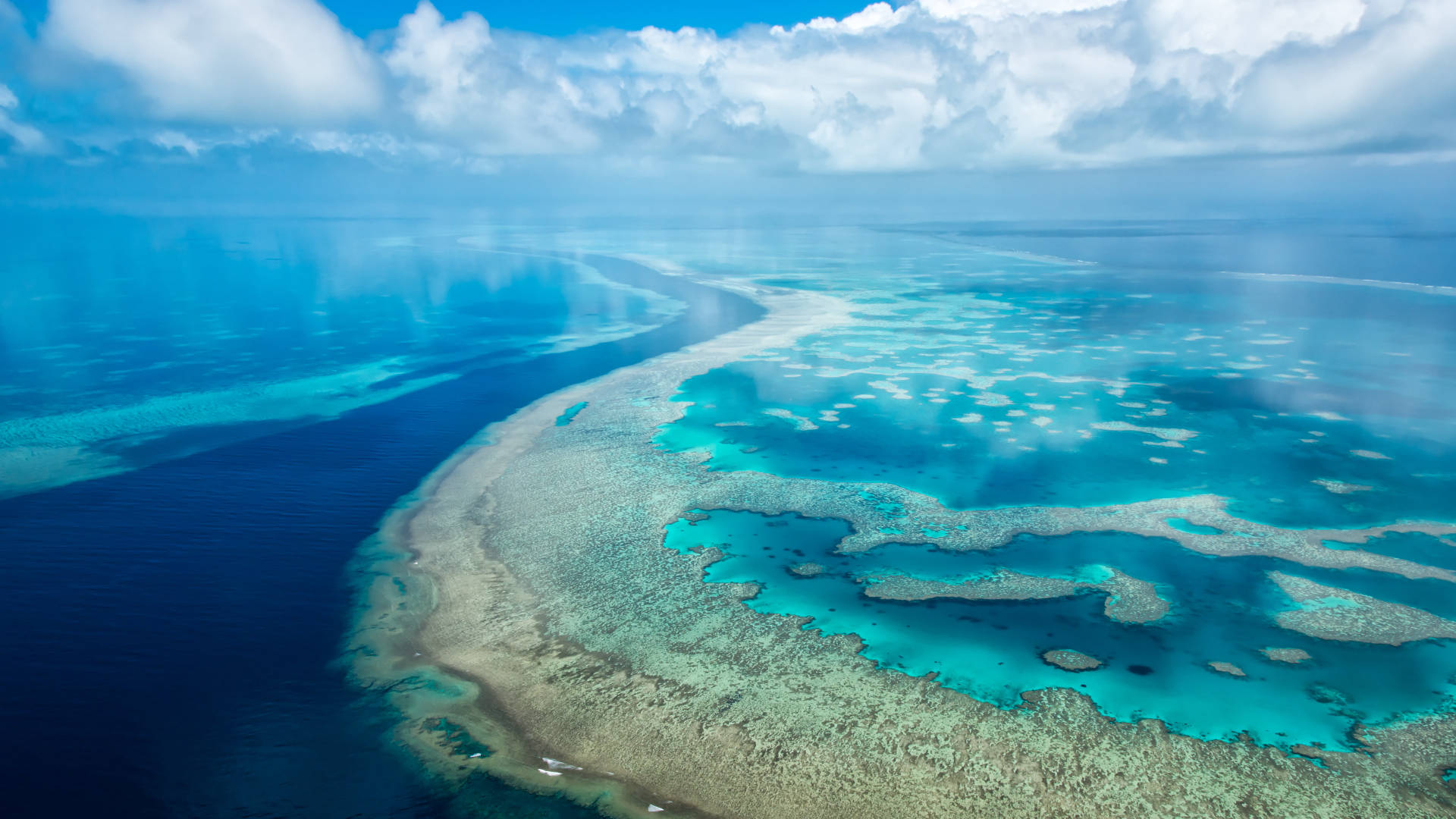 Surface Pro Ocean Transparent Fundal