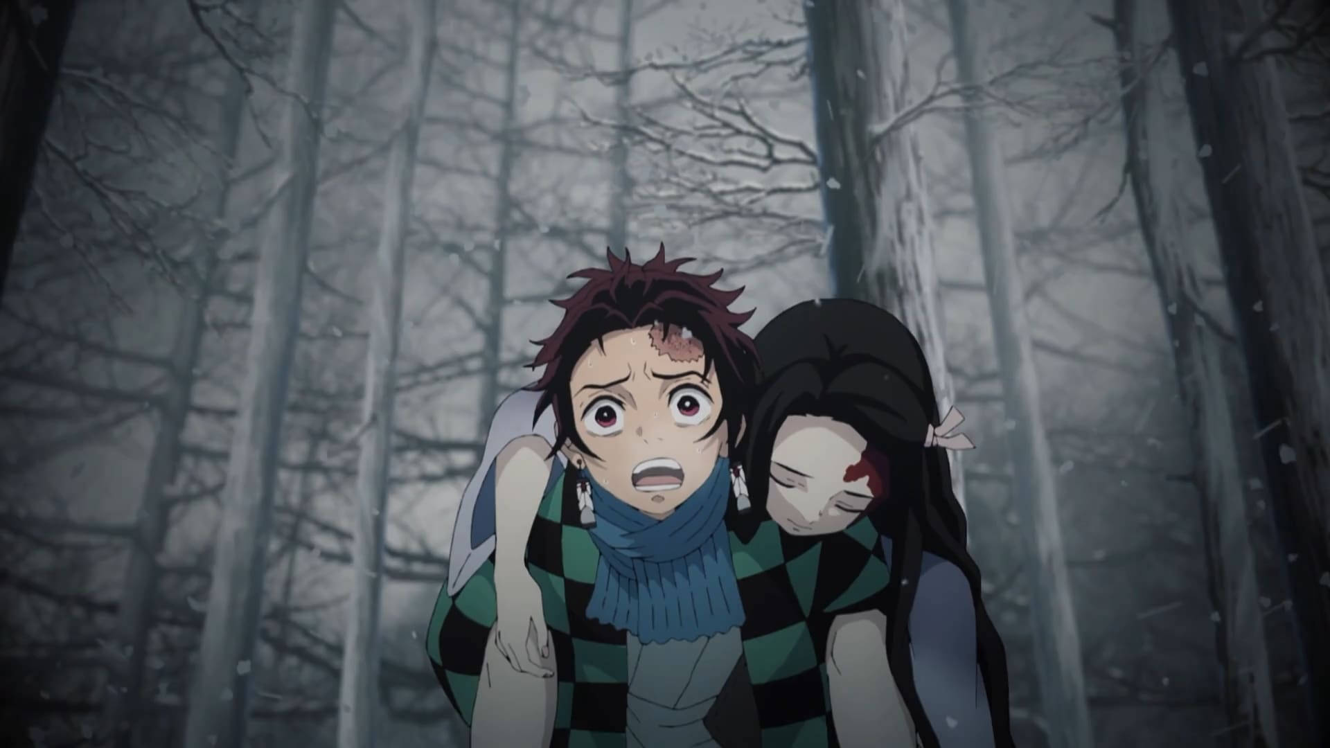 Tanjiro cărând-o pe Nezuko în Demon Slayer Fundal
