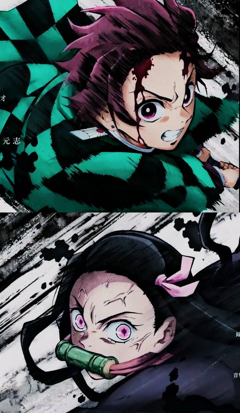 Tanjiro și Nezuko luptând în Demon Slayer Fundal