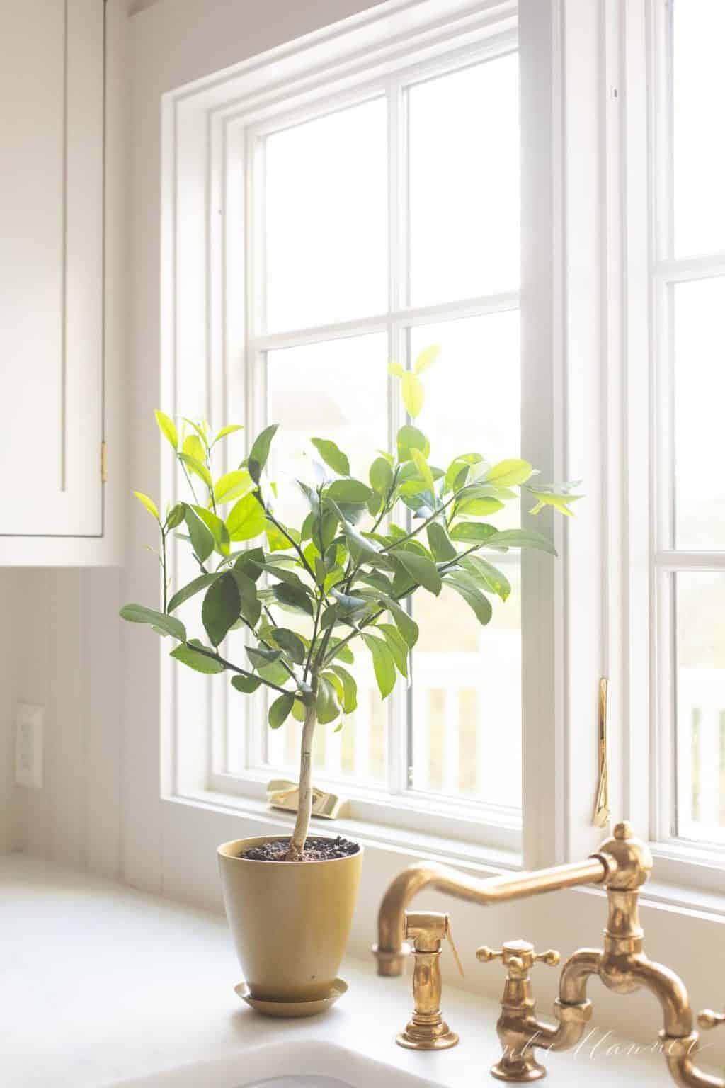 Tapet estetic minimalist Fundal