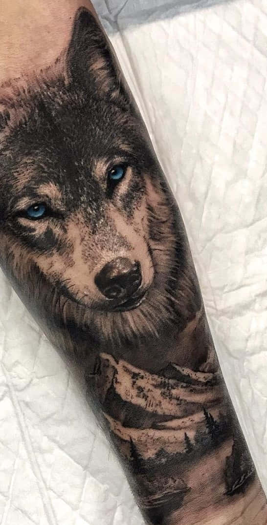 Tatuaje Lup Munți Pe Antebraț Imagini Fundal