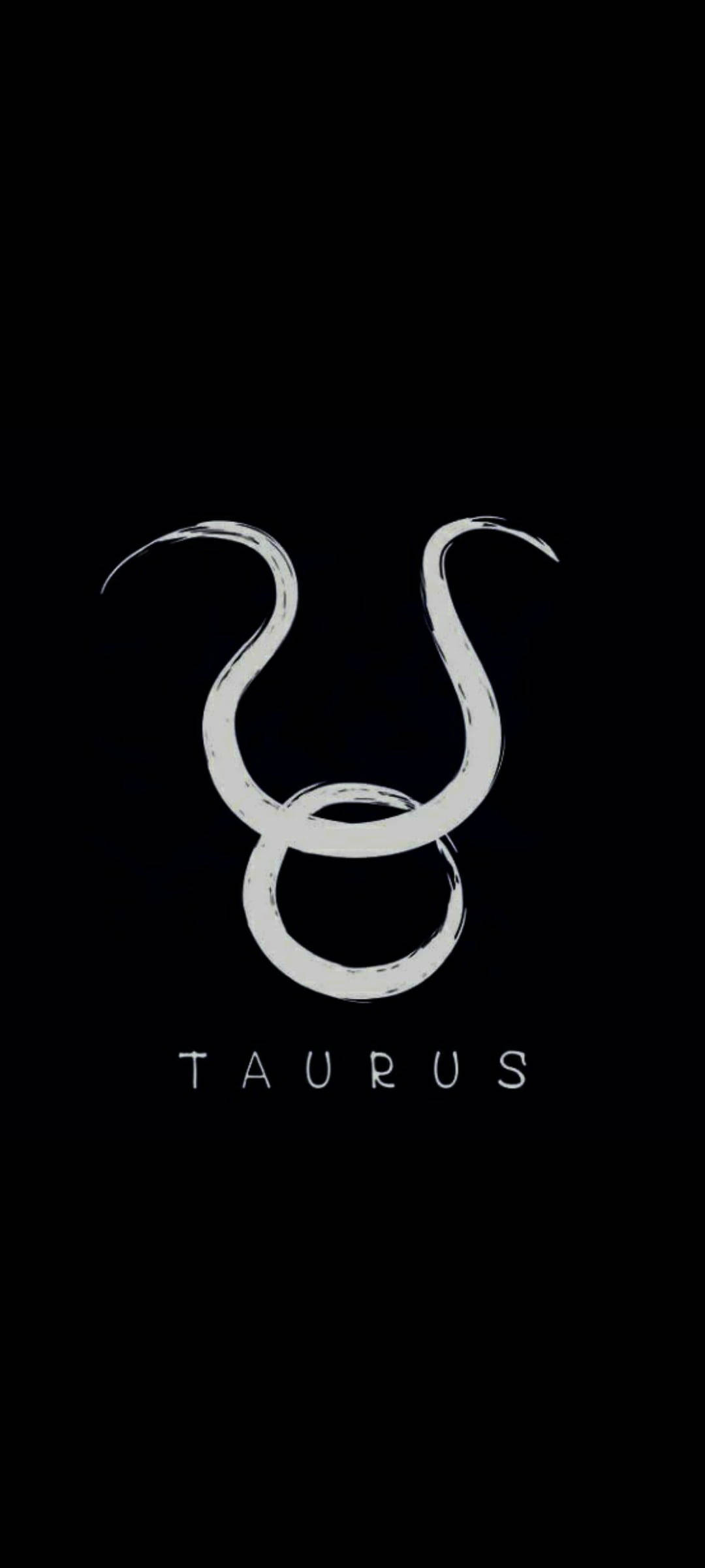 Taurus Simbol Gri Perie Fundal