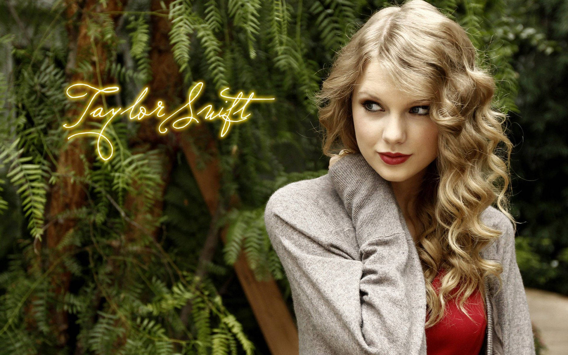 Taylor Swift Live pe Scenă Fundal