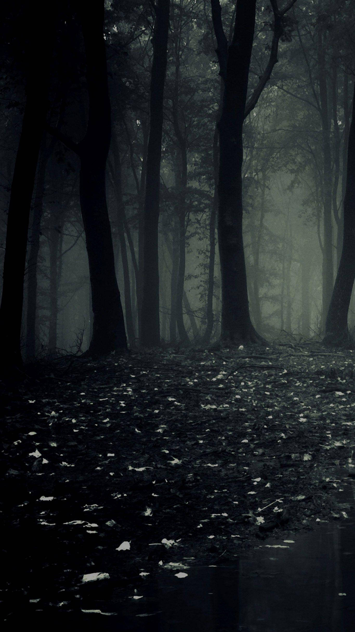 Telefon Întunecat Pădure Înfricoșătoare Fundal
