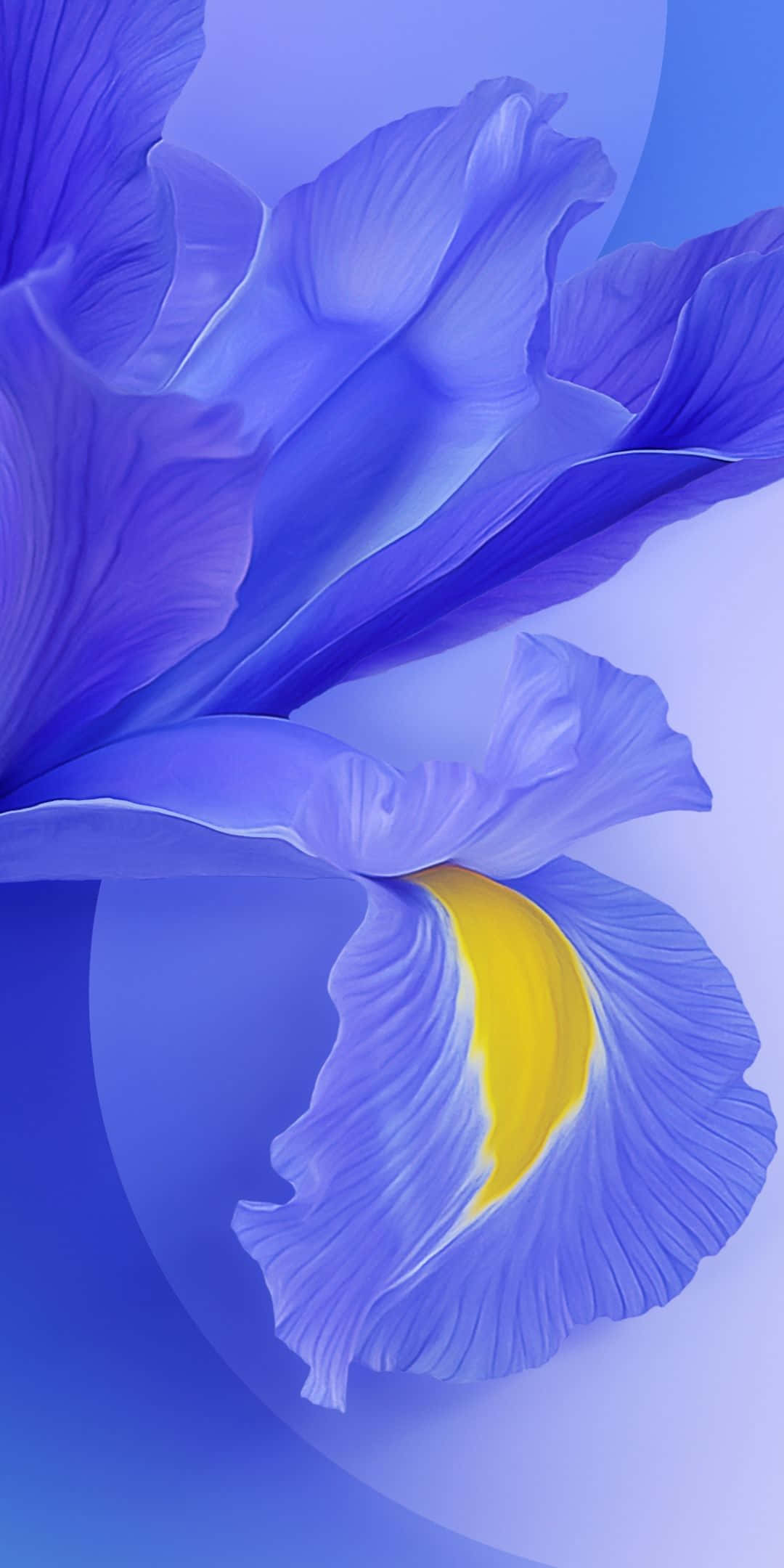 Telefon Xiaomi elegant cu fundal gradient Fundal