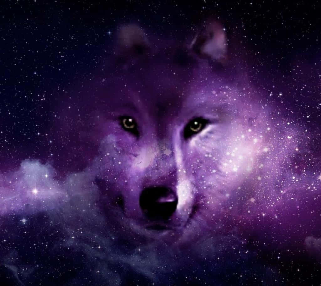 Temă pentru ecran iPhone cu lupi galactici Fundal