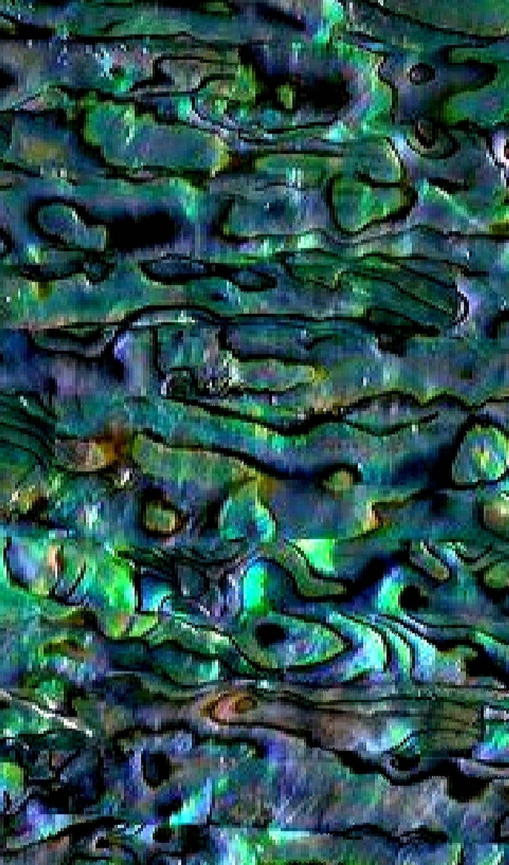 Texturi Colorate de Scoică de Abalone Fundal