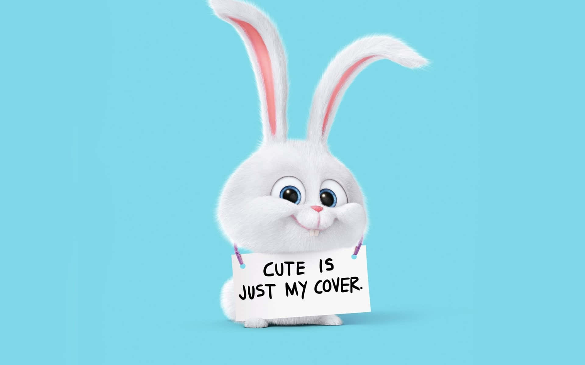 The Secret Life Of Pets 2 Iepuraș Drăguț Fundal