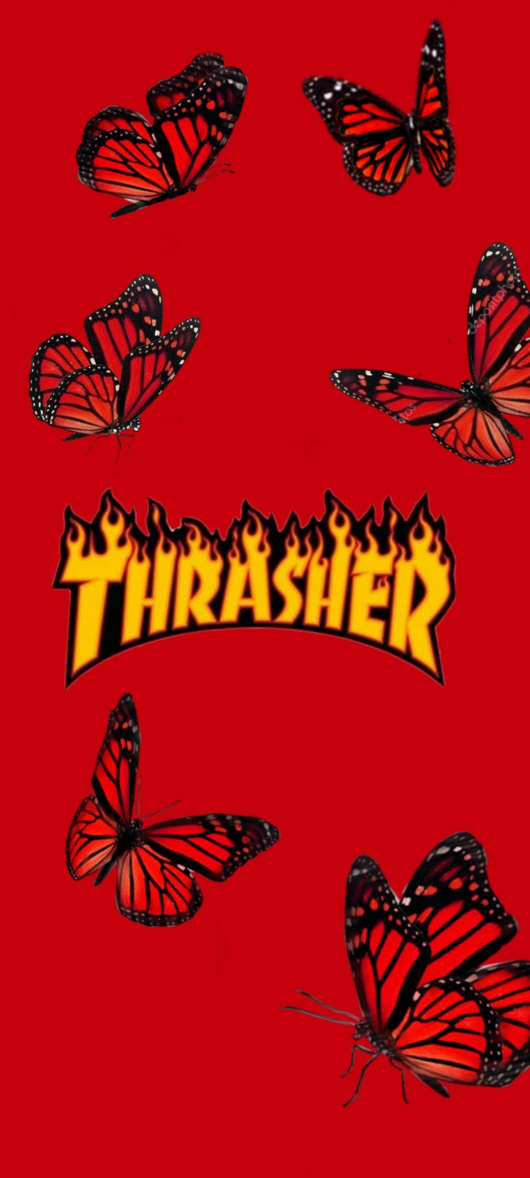 Thrasher Fluturi Roșii Fundal