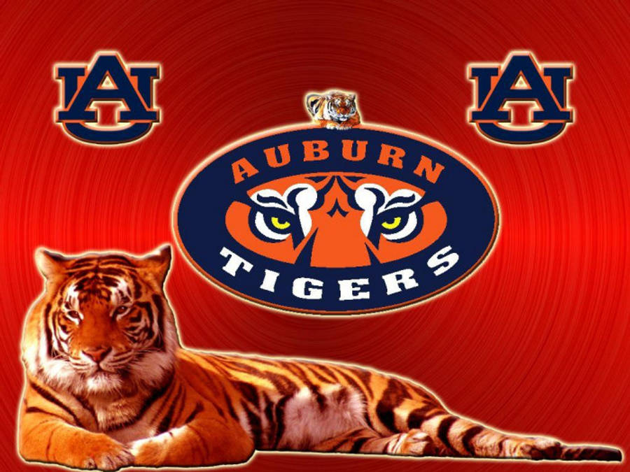Tigru răcnind într-o zi de meci a echipei Auburn Football Fundal
