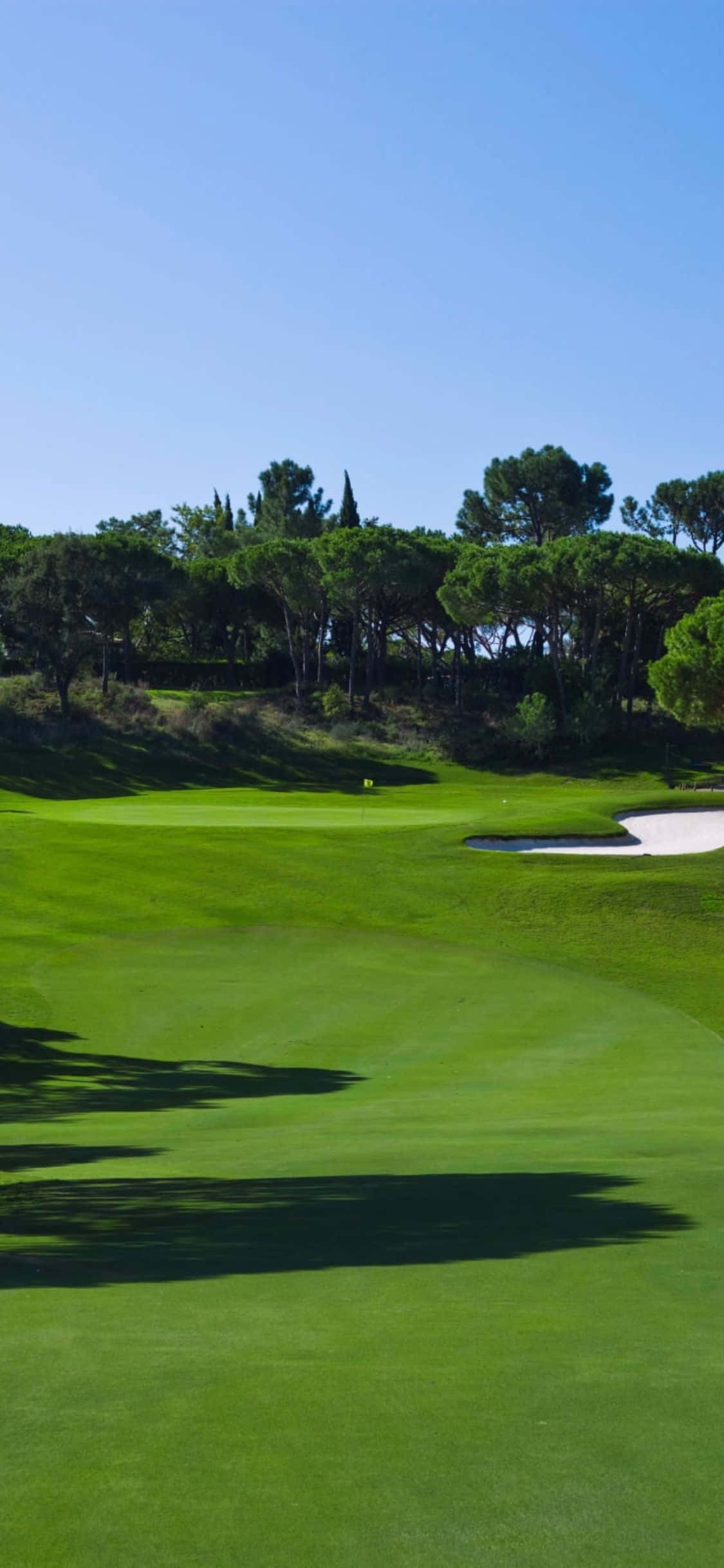 Timp pentru încă o Rundă pe un Teren de Golf Frumos Fundal