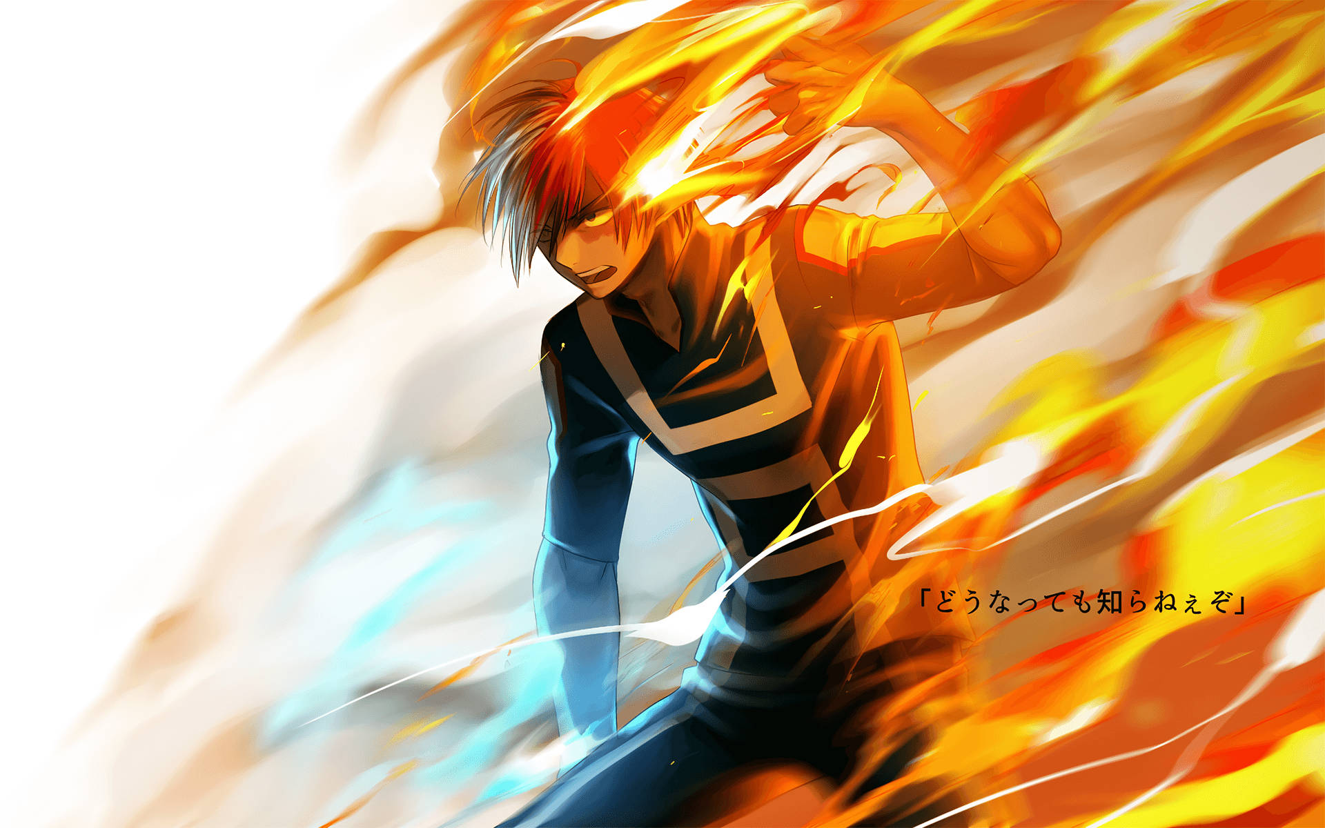 Todoroki adorabil - Poster în alb Fundal