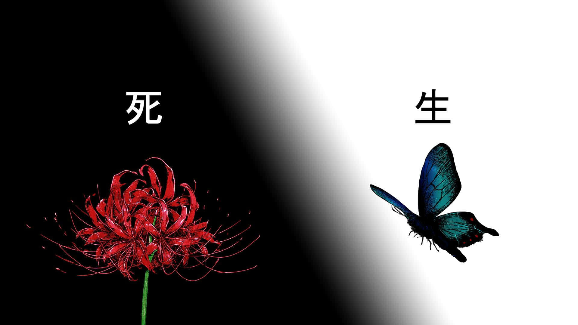 Tokyo Ghoul Floare și Fluture Fundal