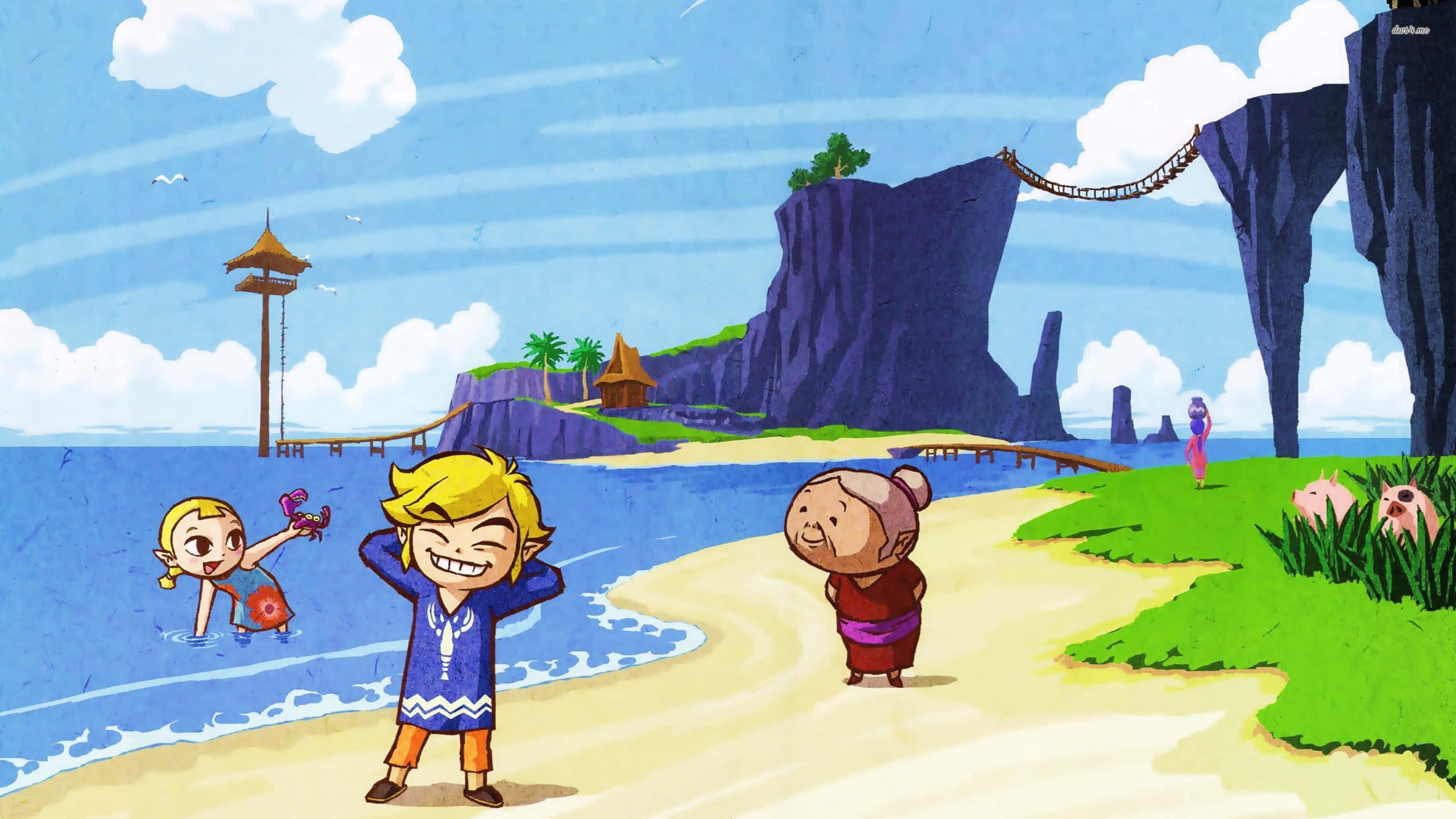 Toon Link la plajă Fundal