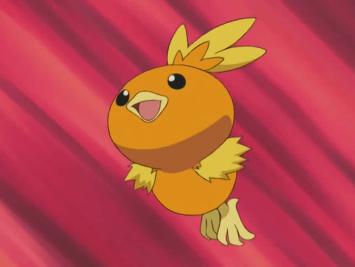 Torchic sărind pe fundal roșu Fundal