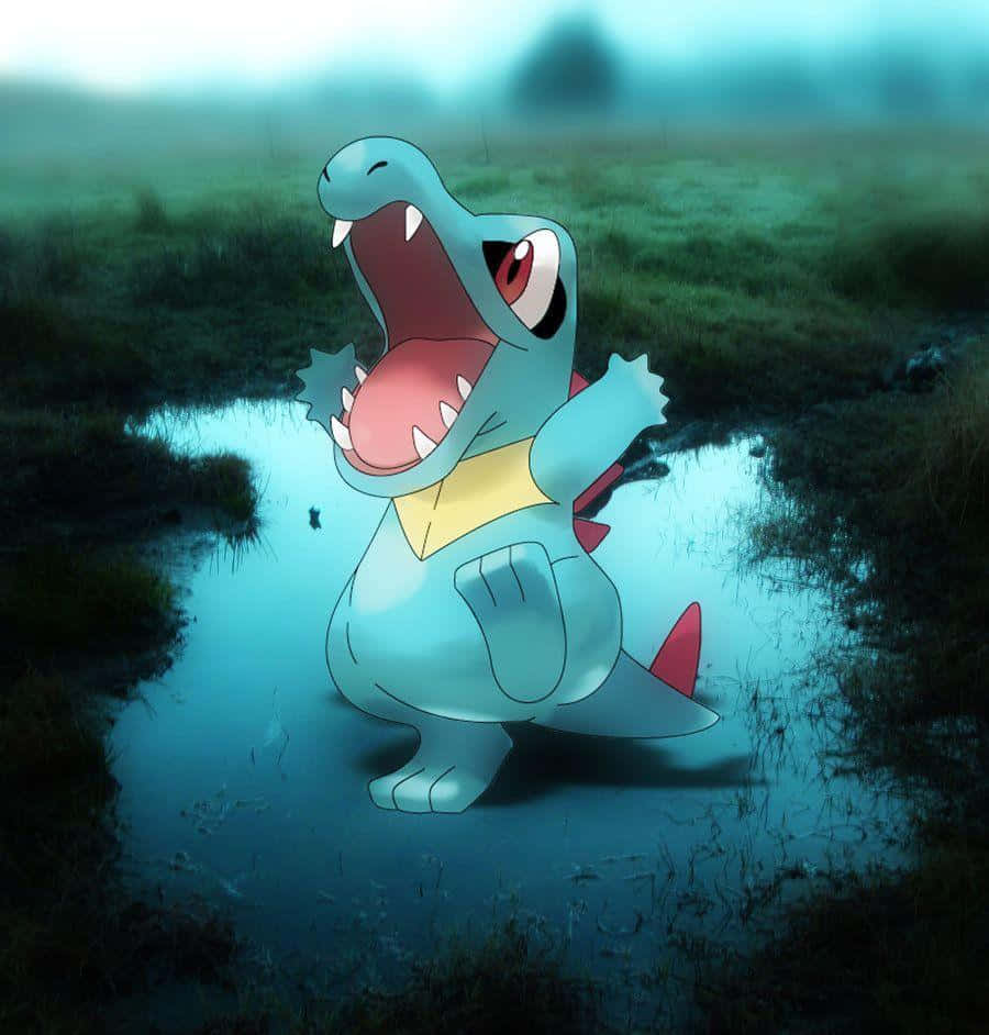 Totodile în băltoacă reală Fundal