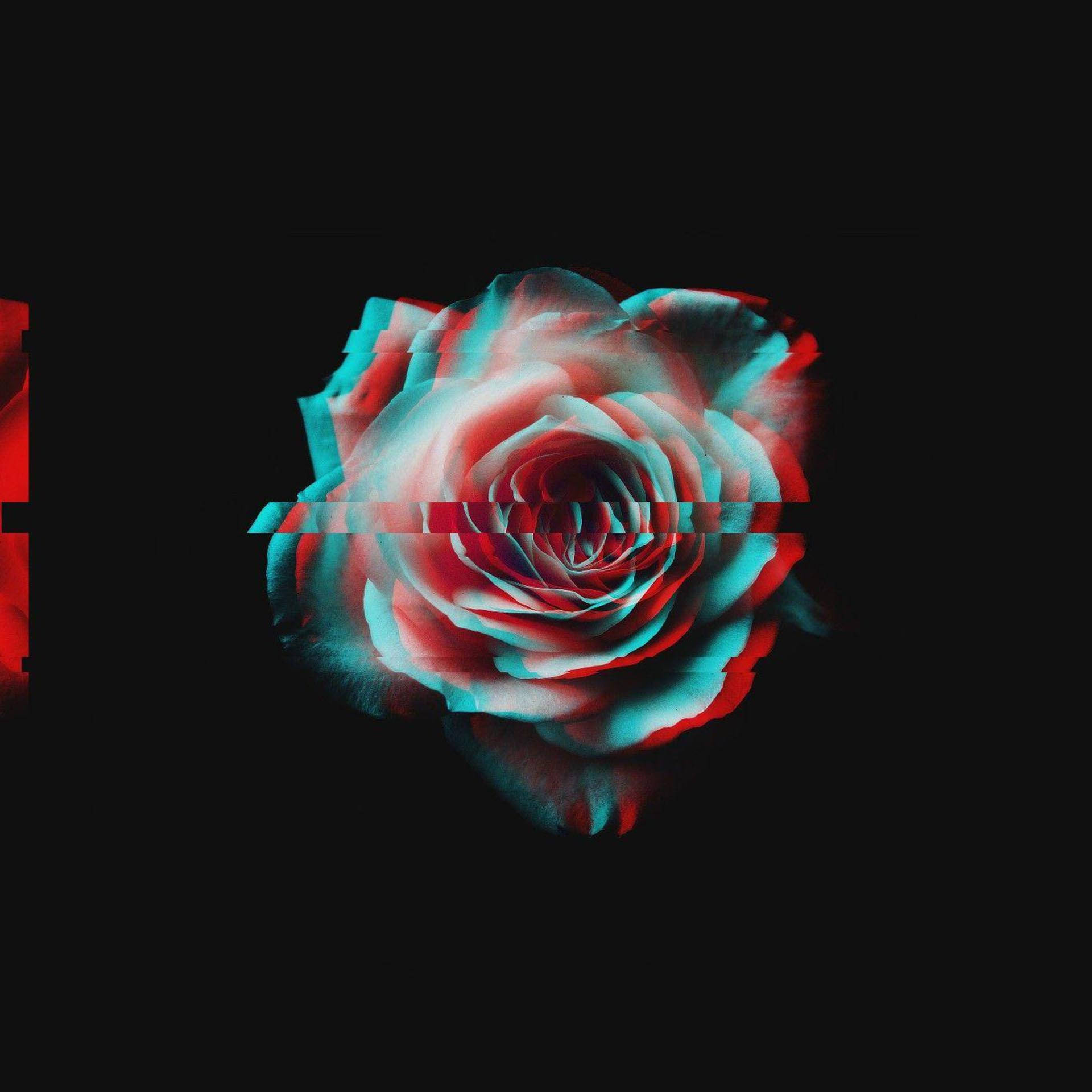 Trandafir cu efect glitch în stil întunecat și psihedelic Fundal