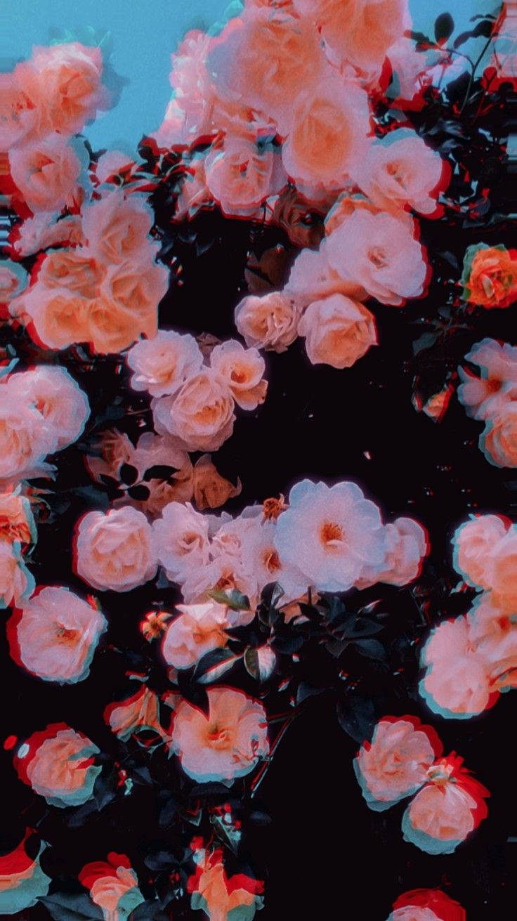 Trandafiri Estetică Trippy Fundal