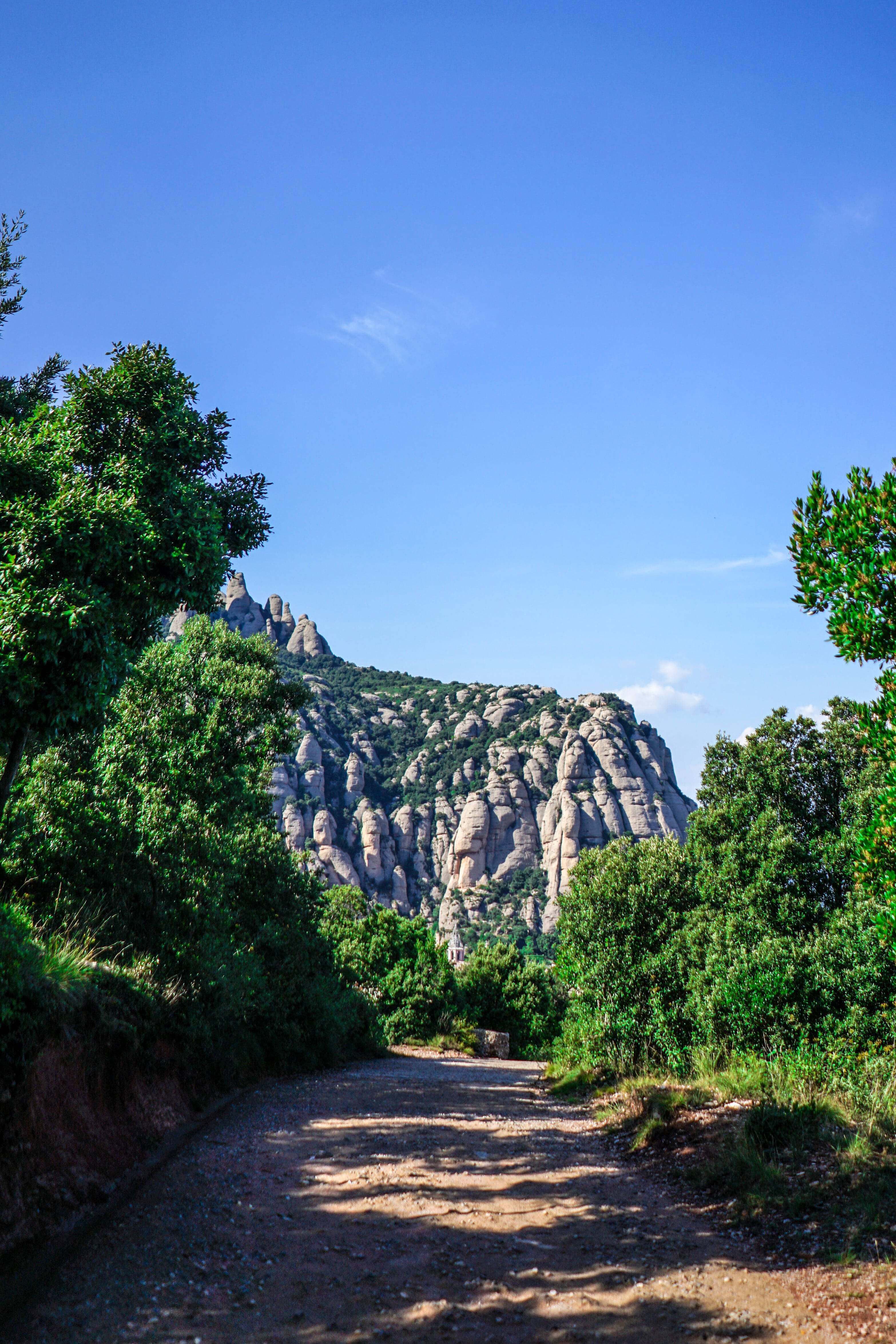 Traseu Forestier Montserrat Fundal