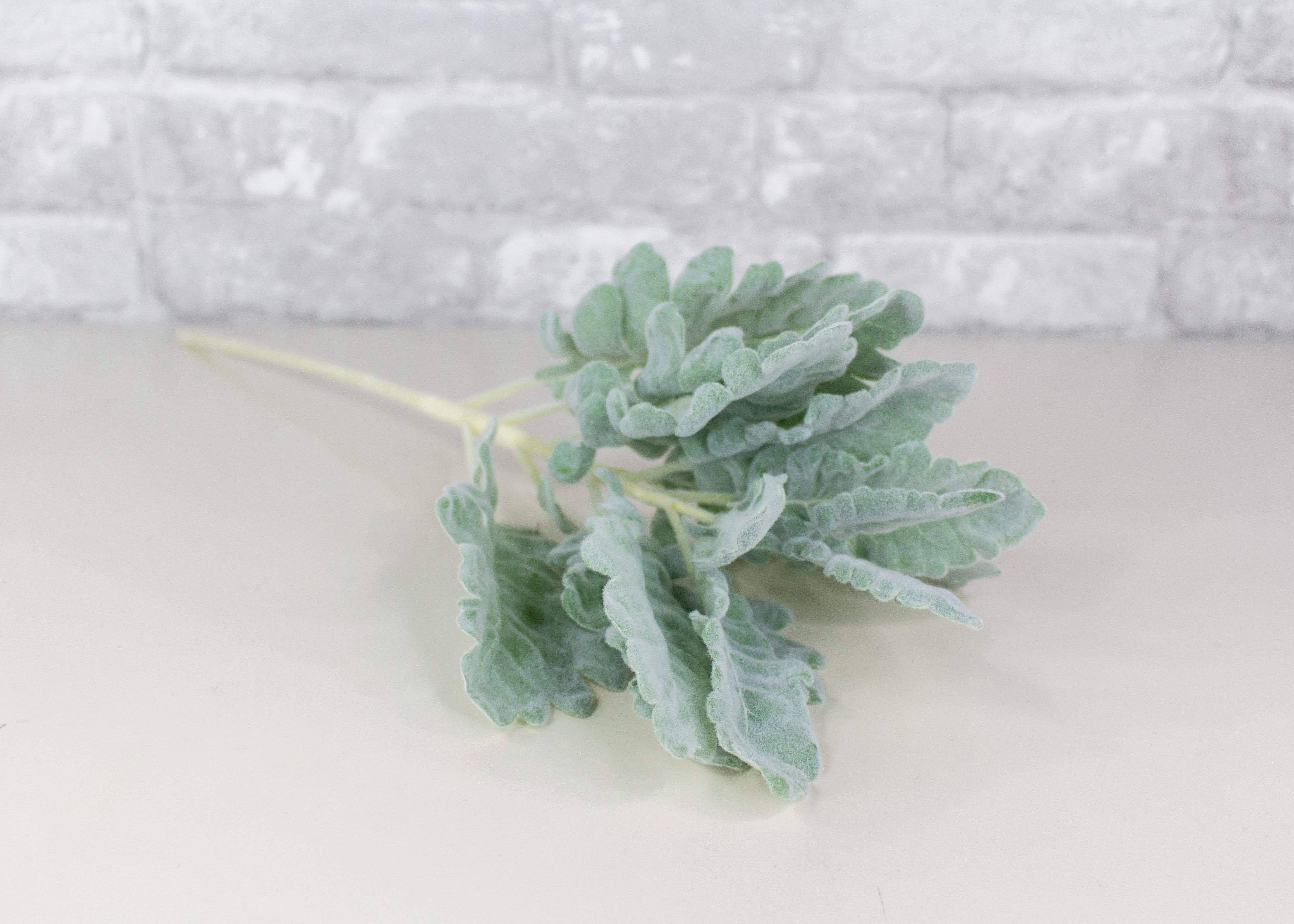 Tulpină estetică verde salvie Fundal