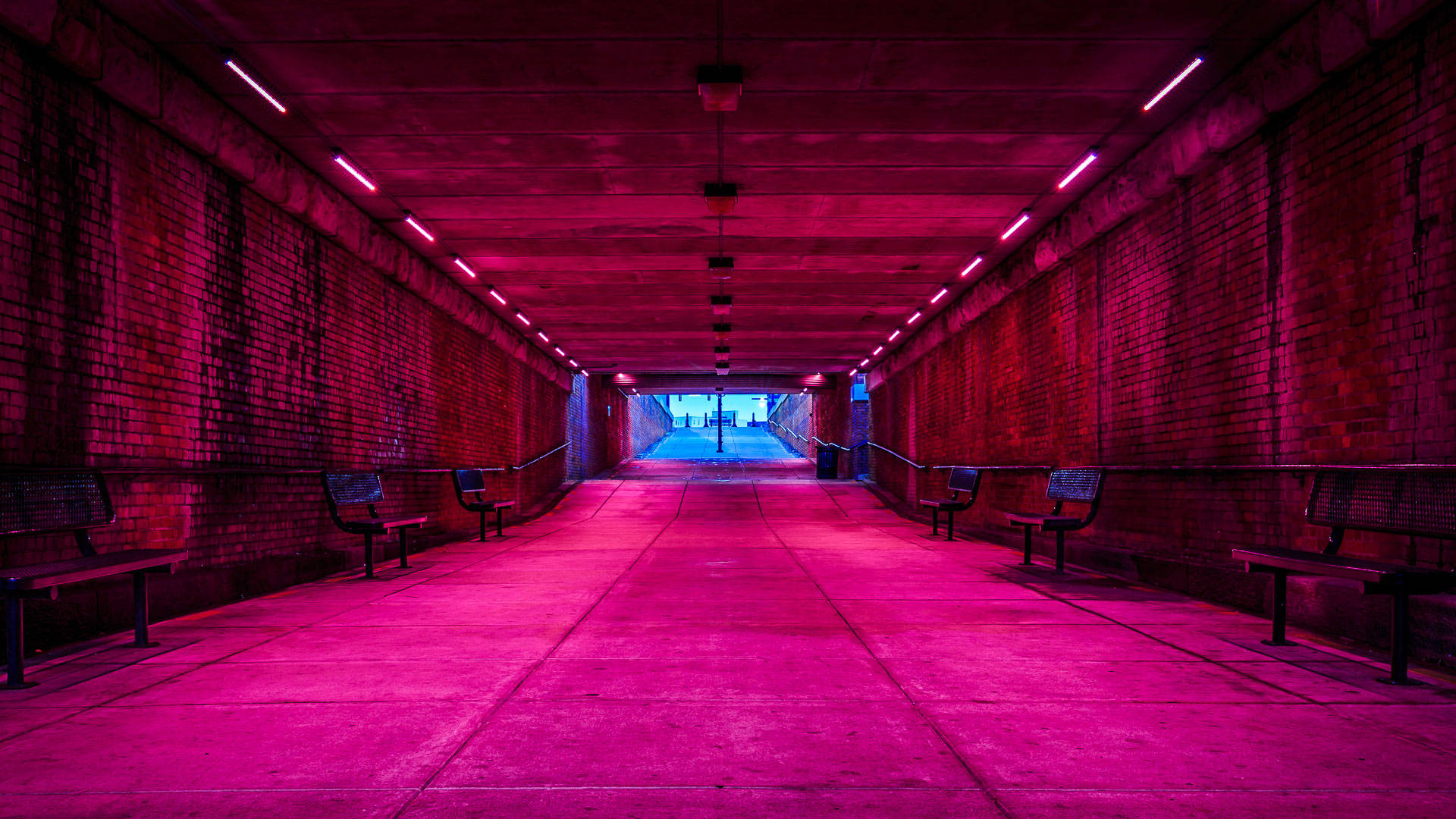 Tunel Subterranean Neon Roz Fundal