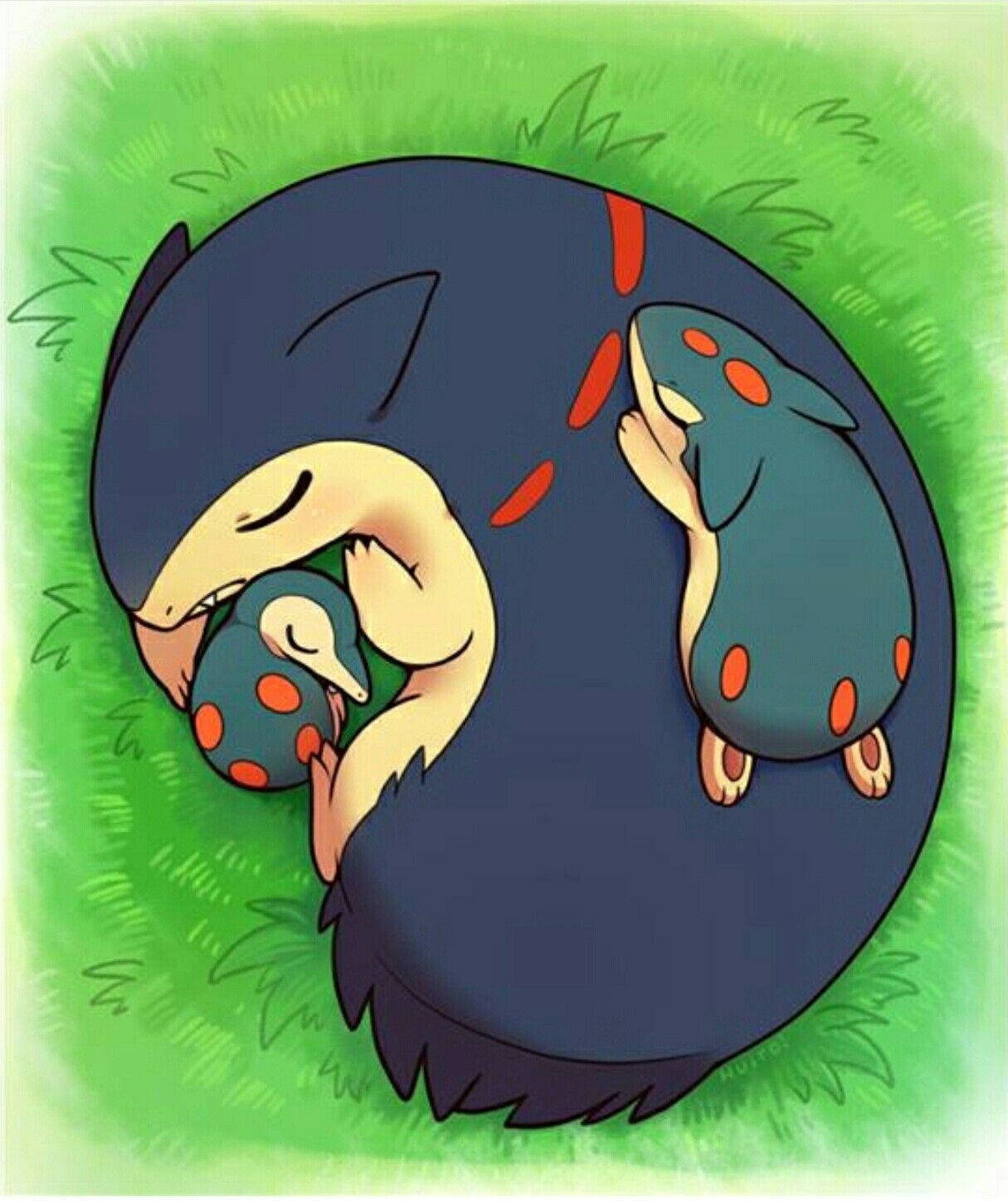 Typhlosion Mare Dormind Fundal