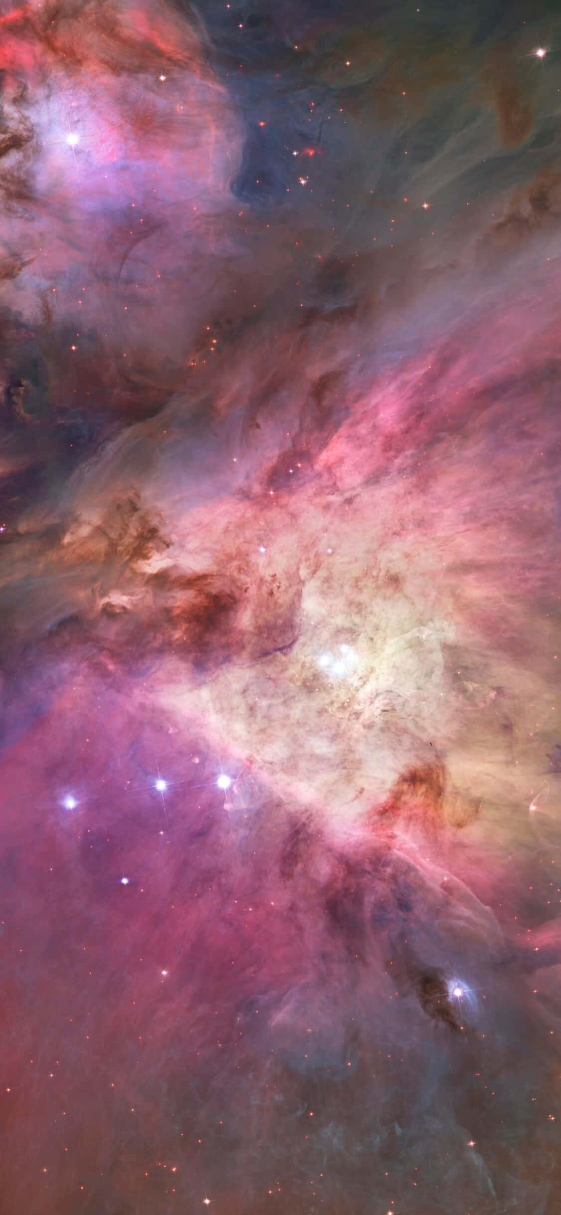 Uimitoarea constelație Orion pe un fundal de stele. Fundal