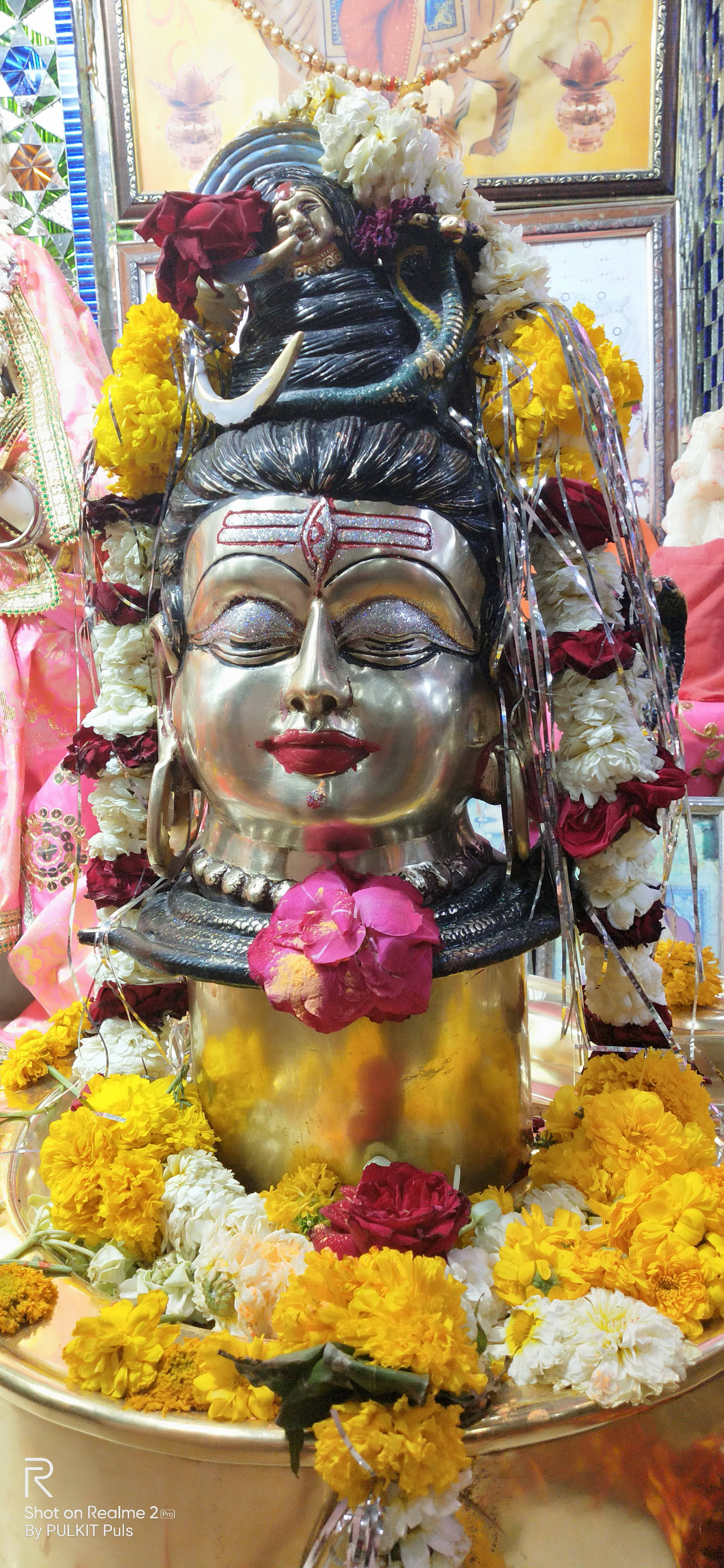 Ujjain Mahakal Flori Galbene Fundal