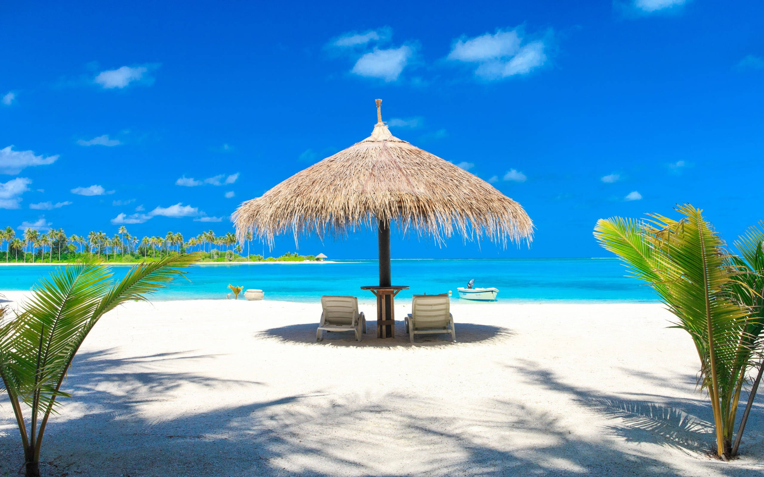 Umbră de Plajă Tropicală Unică pentru Desktop Fundal