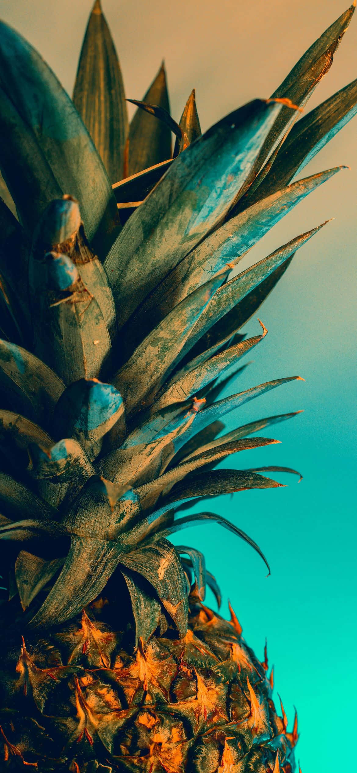 un ananas cu un cer albastru în fundal