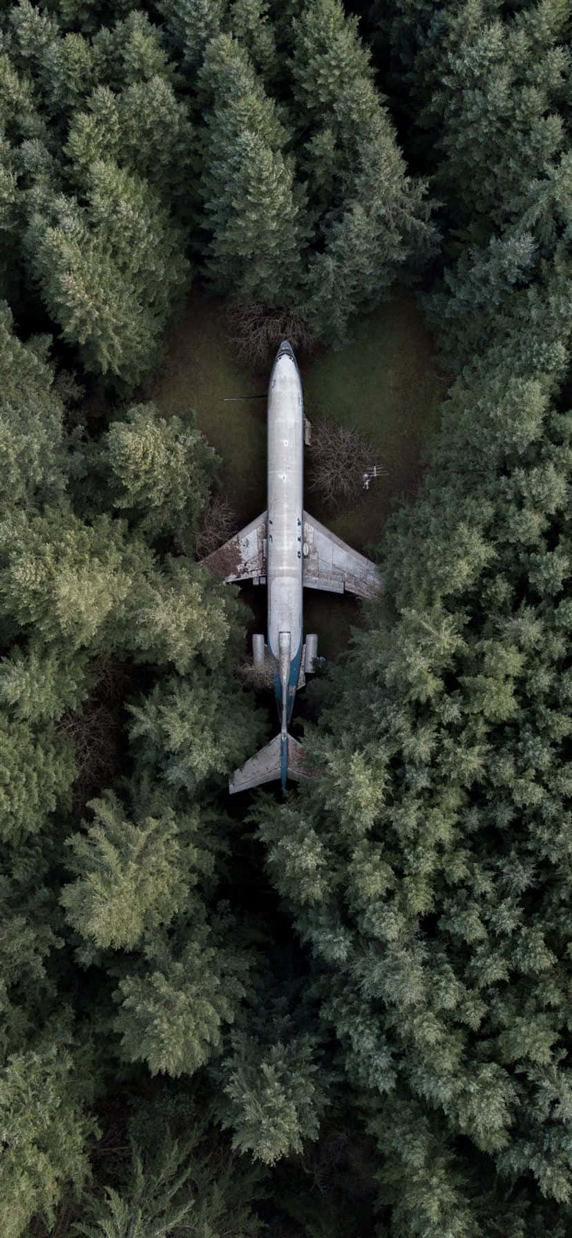 Un avion alb în zbor pe un fundal de cer albastru pe un iPhone. Fundal