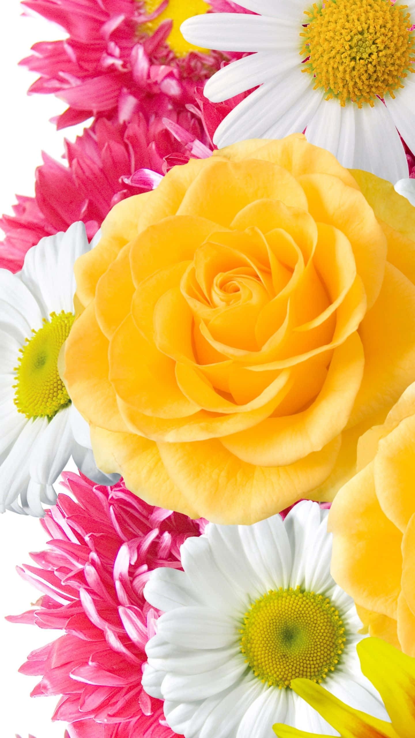 un buchet de flori Fundal