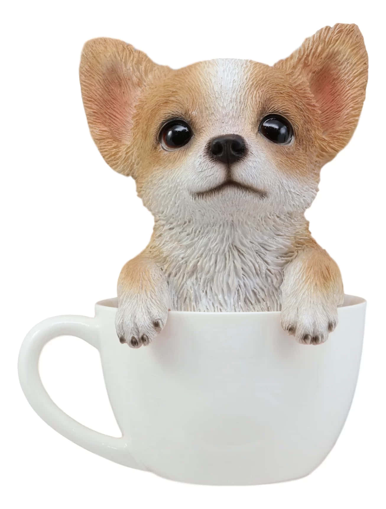 Un Chihuahua de Ceșcuță Drăguț Fundal