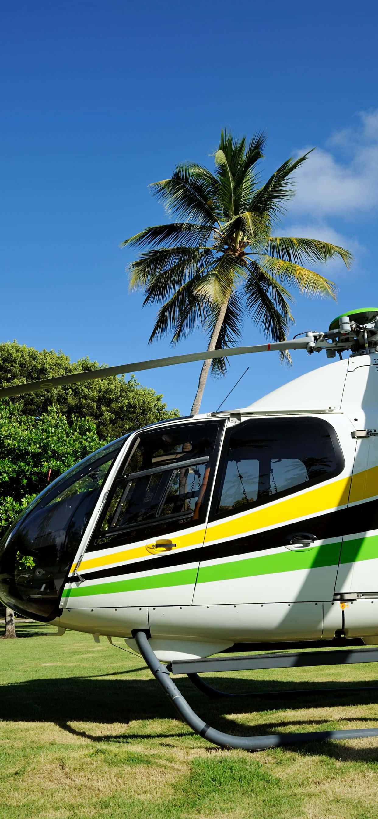 un elicopter parcat pe iarbă Fundal
