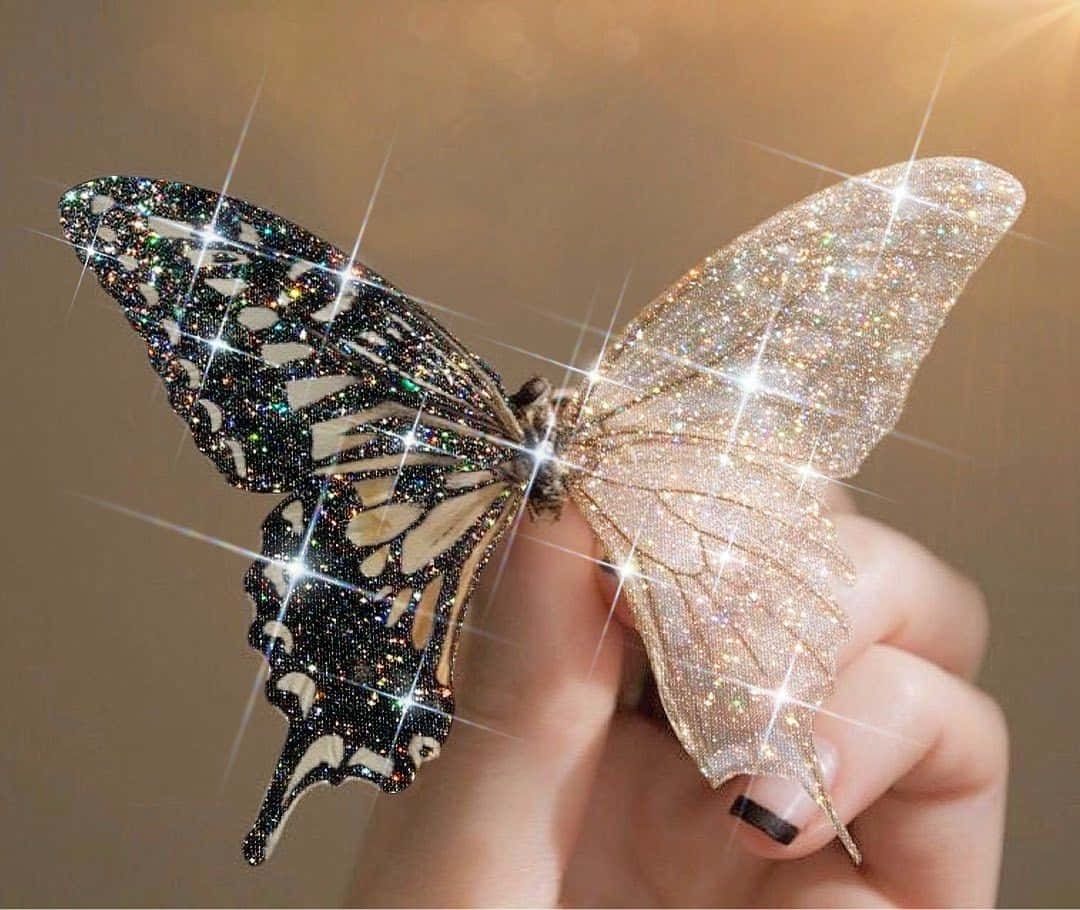 Un fluture roz și galben dansând într-o grădină Fundal