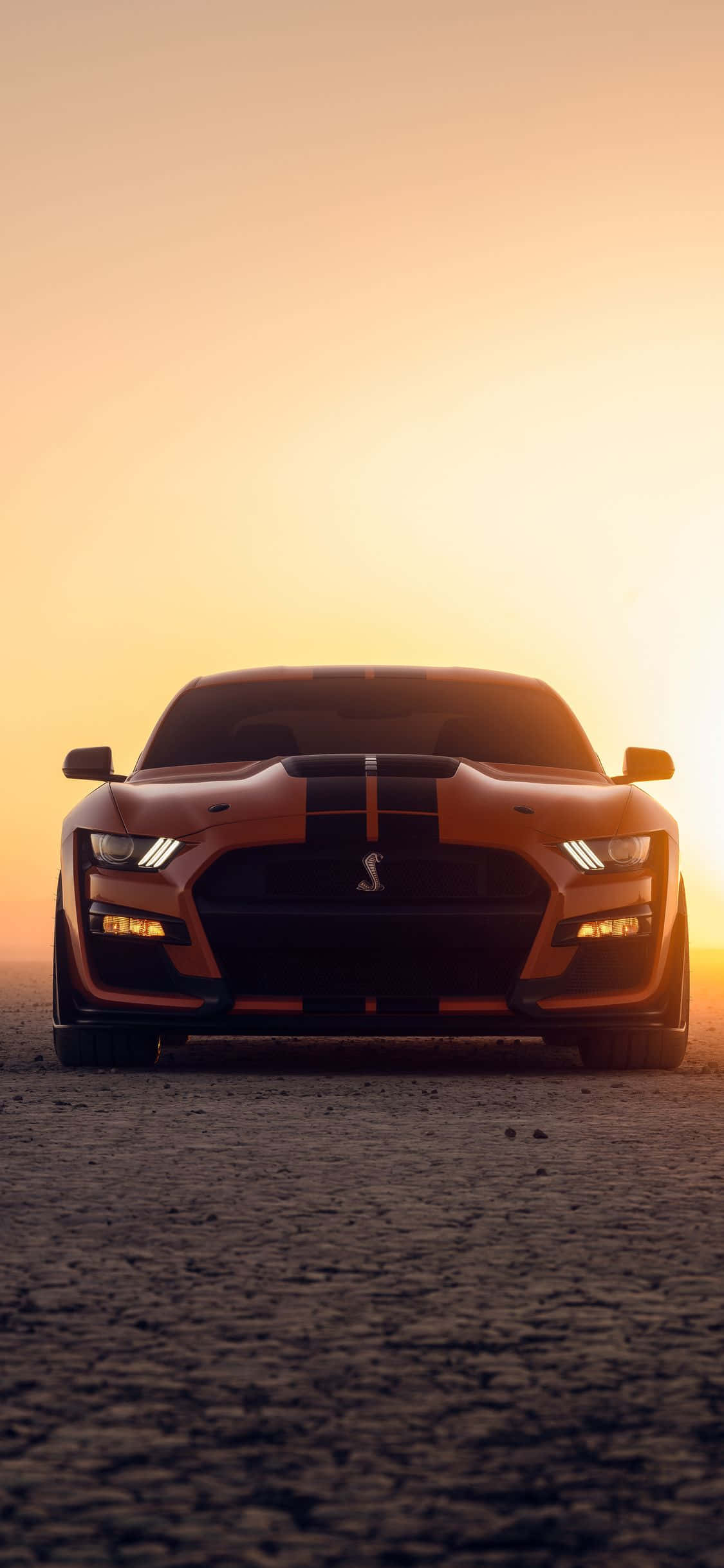 un ford mustang gt stă în deșert la apus Fundal