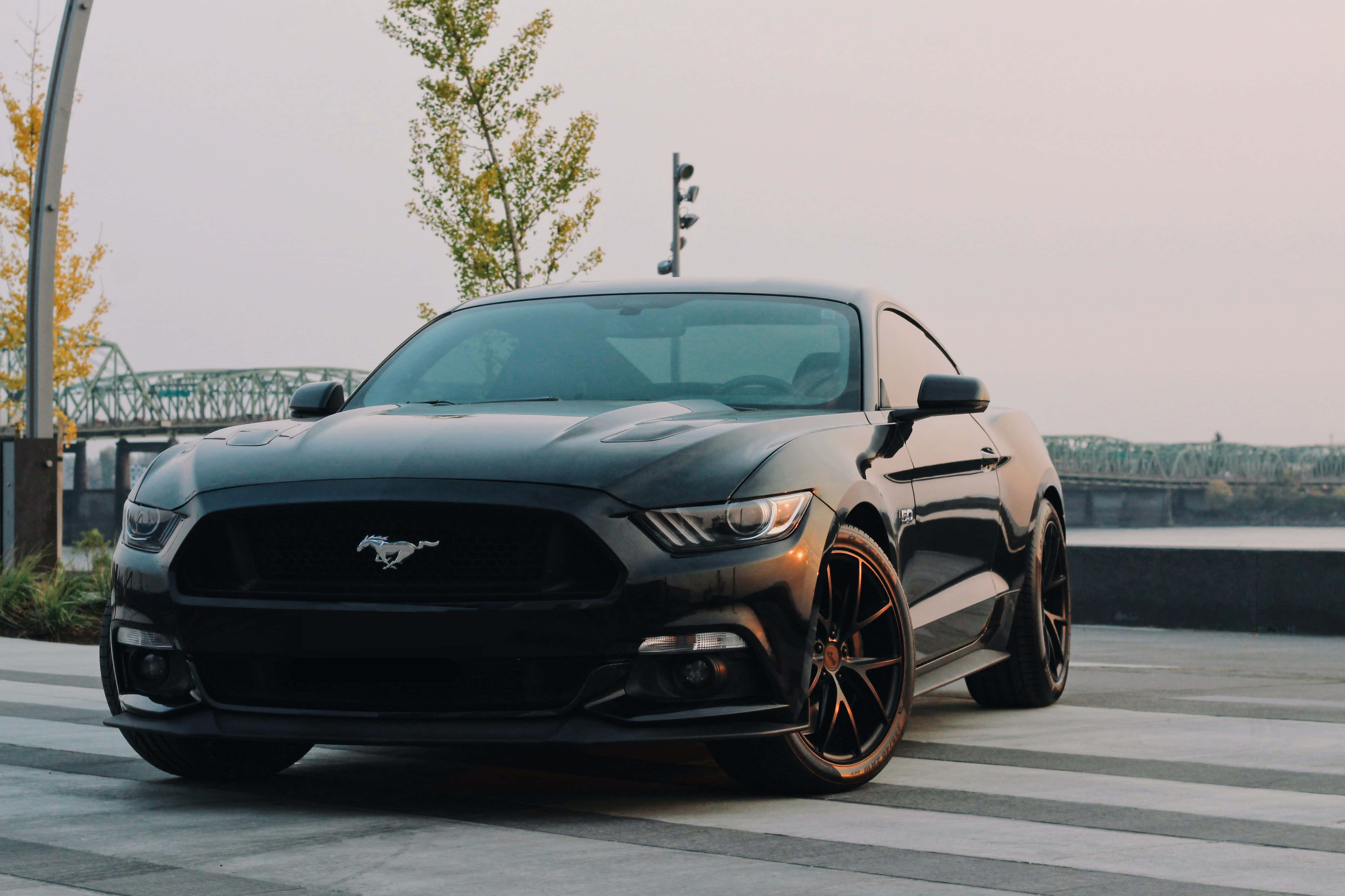 un Ford Mustang negru parcat pe o stradă Fundal